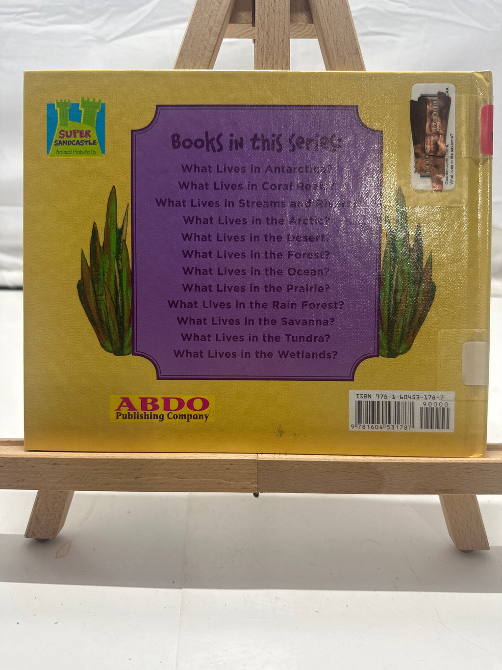 What Lives in the Savanna? by Oona Gaarder-Juntti Hardcover