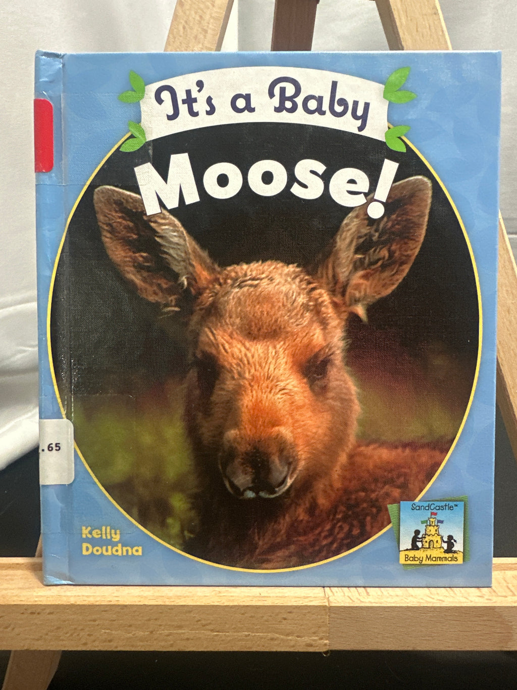 It's a Baby Moose! (Baby Mammals) by Kelly Doudna Hardcover