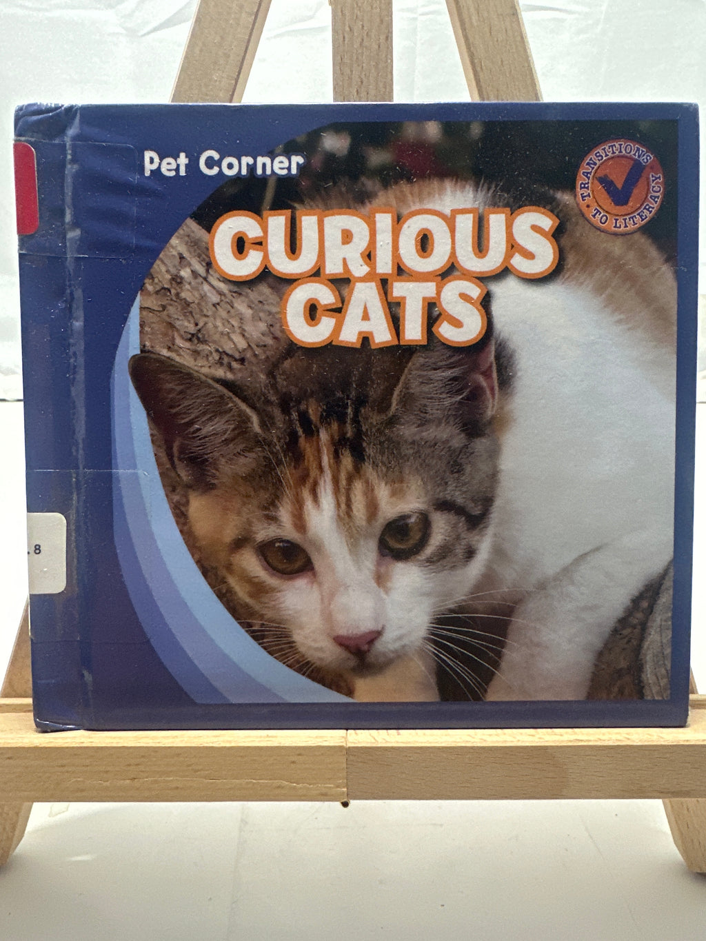 Curious Cats by Katie Kawa Hardcover