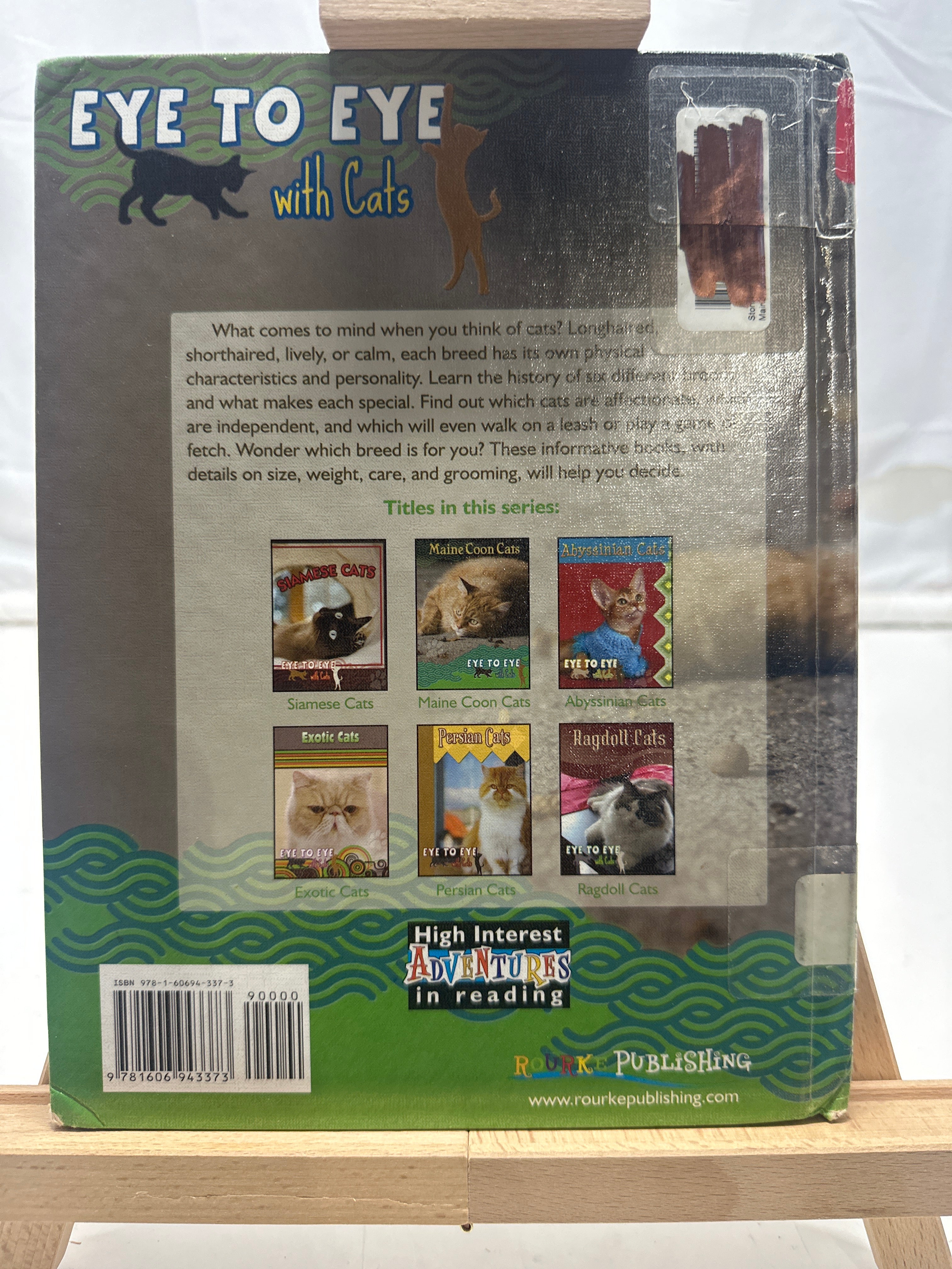 Maine coon cats by Lynn M. Stone Hardcover Children's Book