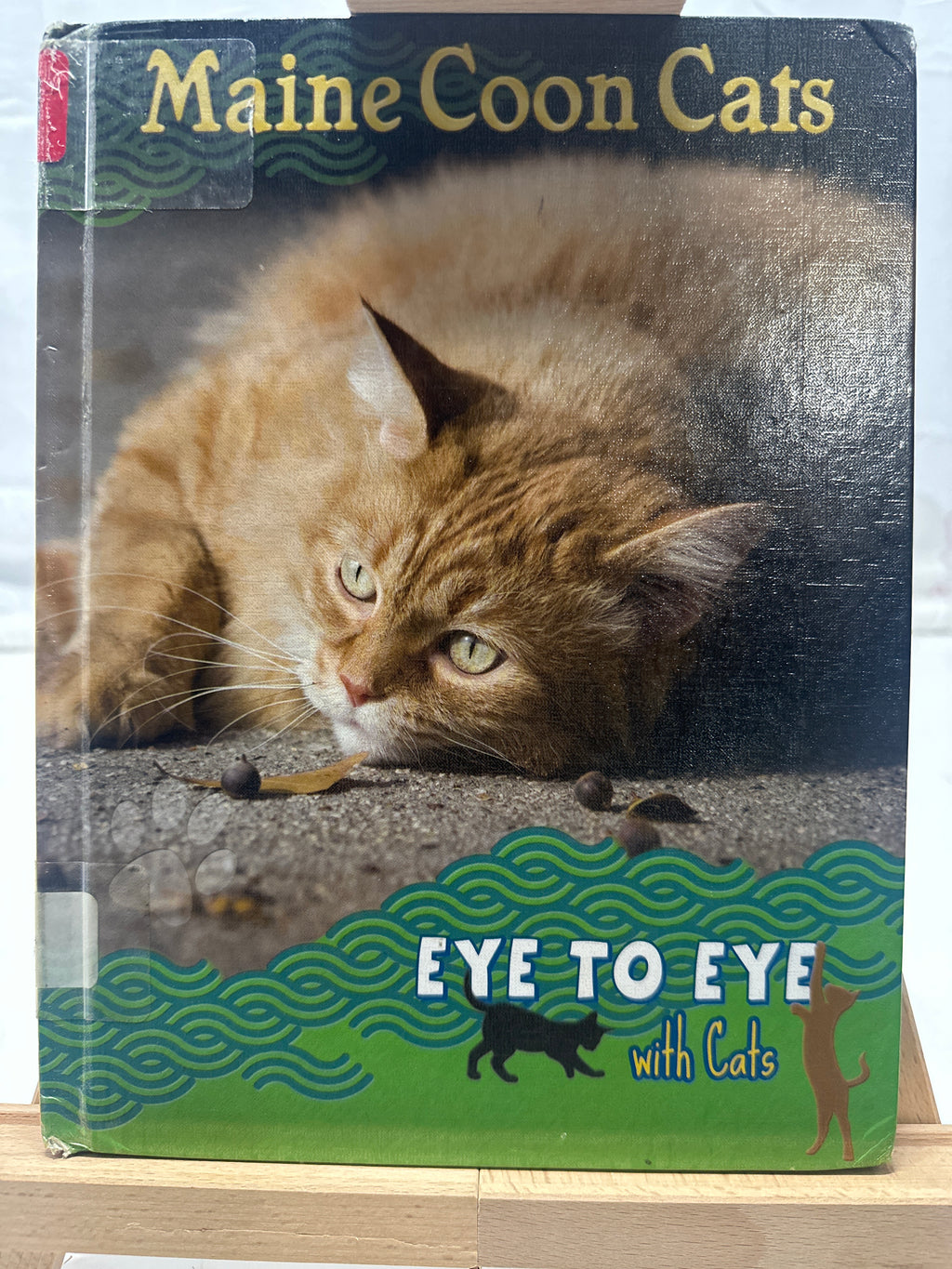 Maine coon cats by Lynn M. Stone Hardcover Children's Book