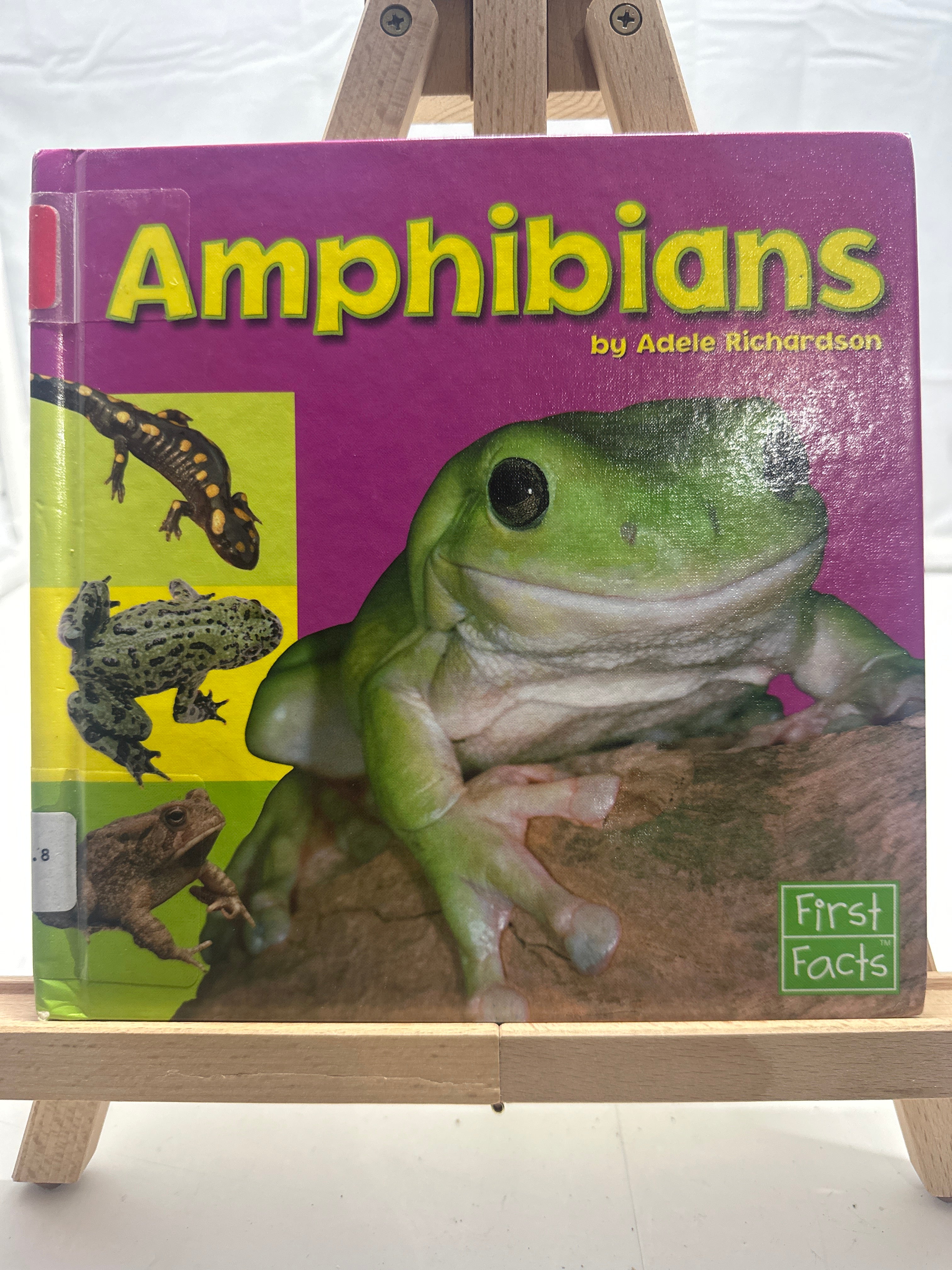 Amphibians (Exploring the Animal Kingdom) by Adele Richardson Hardcover
