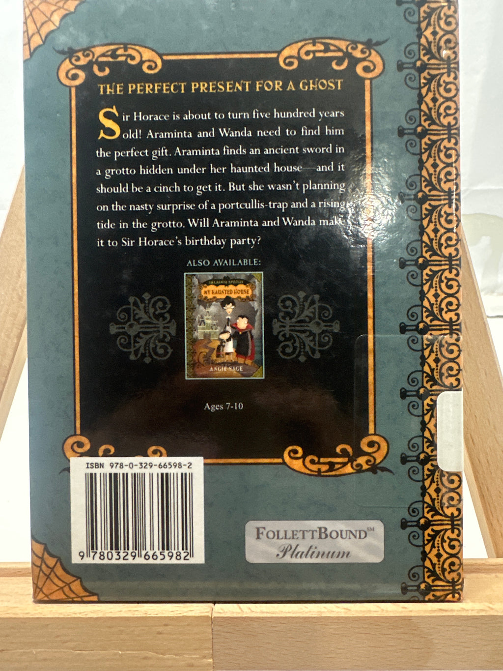 The Sword in the Grotto by Angie Sage Hardcover