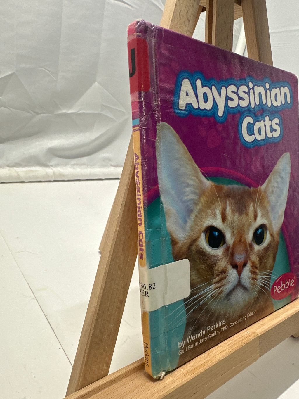 Abyssinian Cats by Wendy Perkins Hardcover