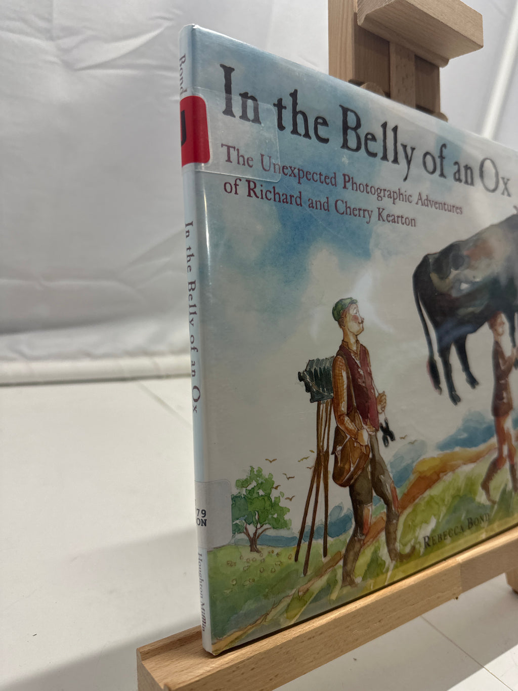In the Belly of an Ox by Rebecca Bond Hardcover