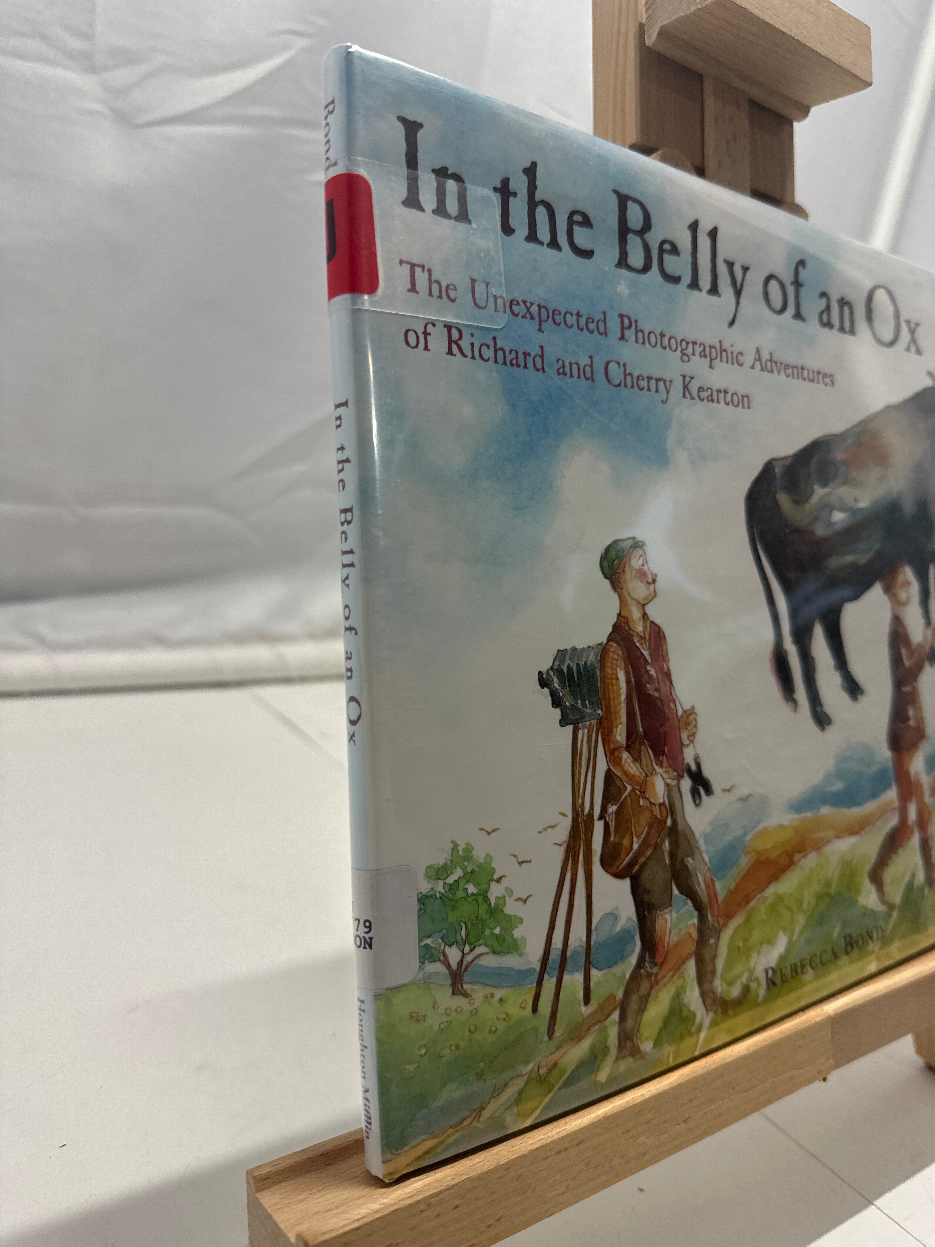 In the Belly of an Ox by Rebecca Bond Hardcover