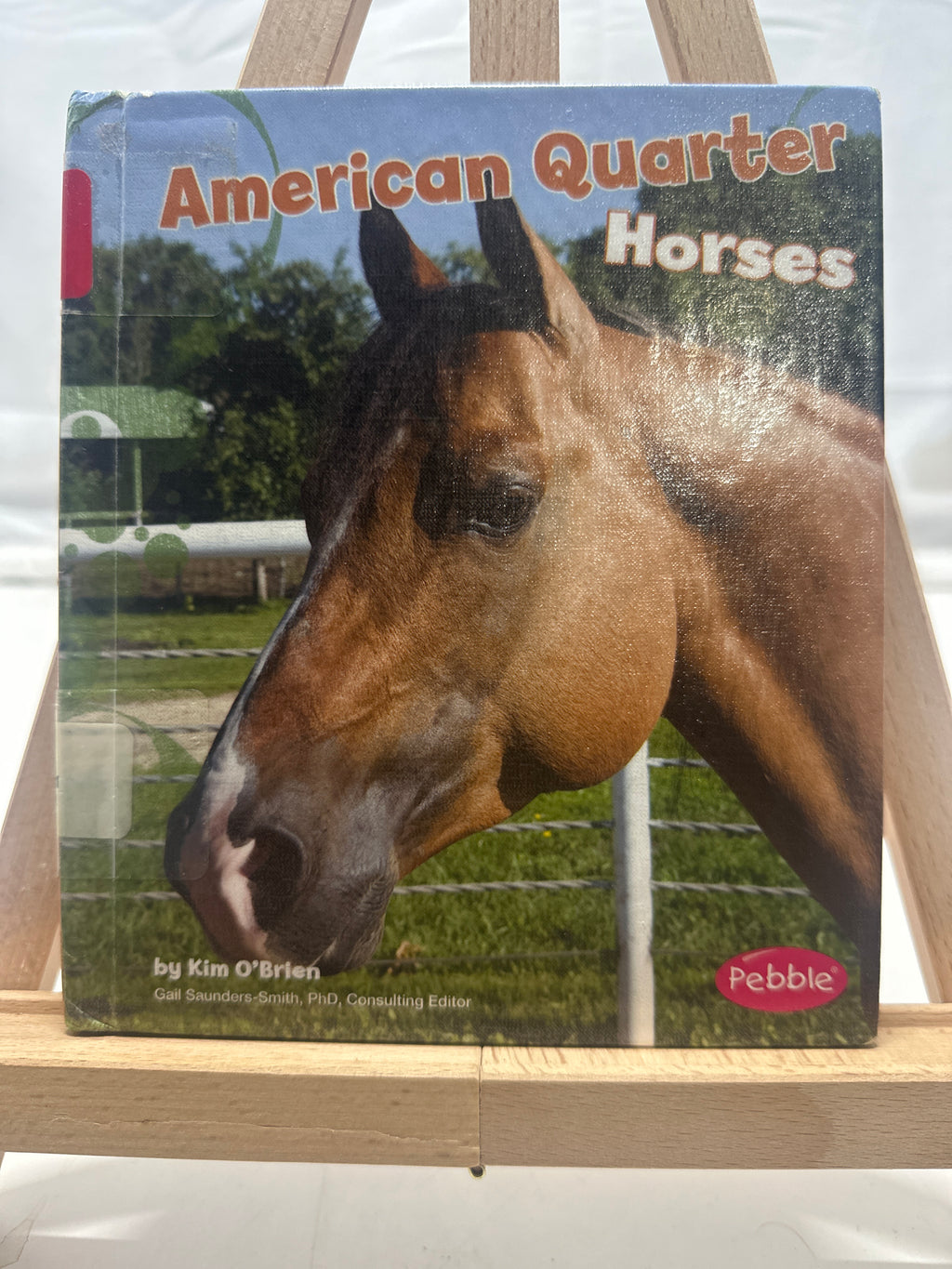 American Quarter Horses by Kim O'Brien Hardcover