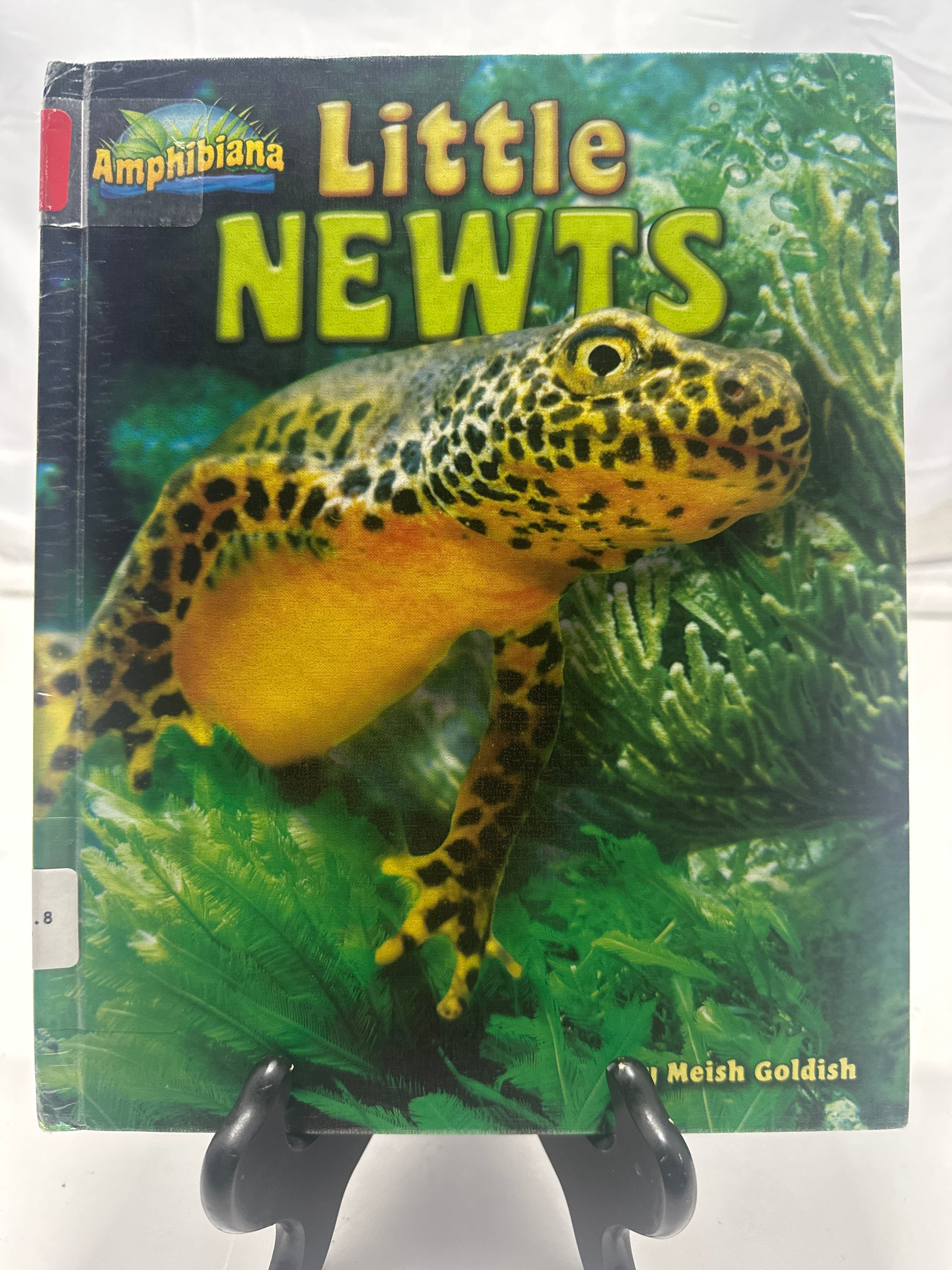 Little newts by Meish Goldish Hardcover Children's Book