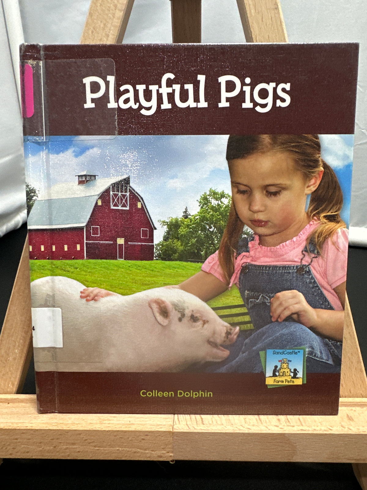 Playful pigs by Colleen Dolphin Hardcover Children's Book