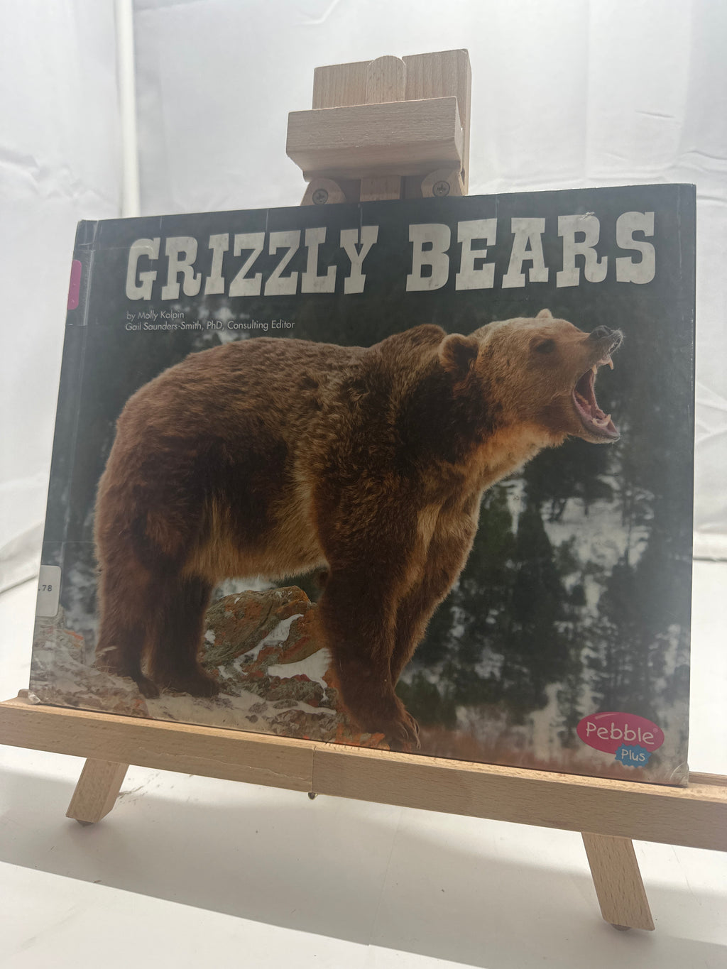 Grizzly Bears by Molly Kolpin Hardcover