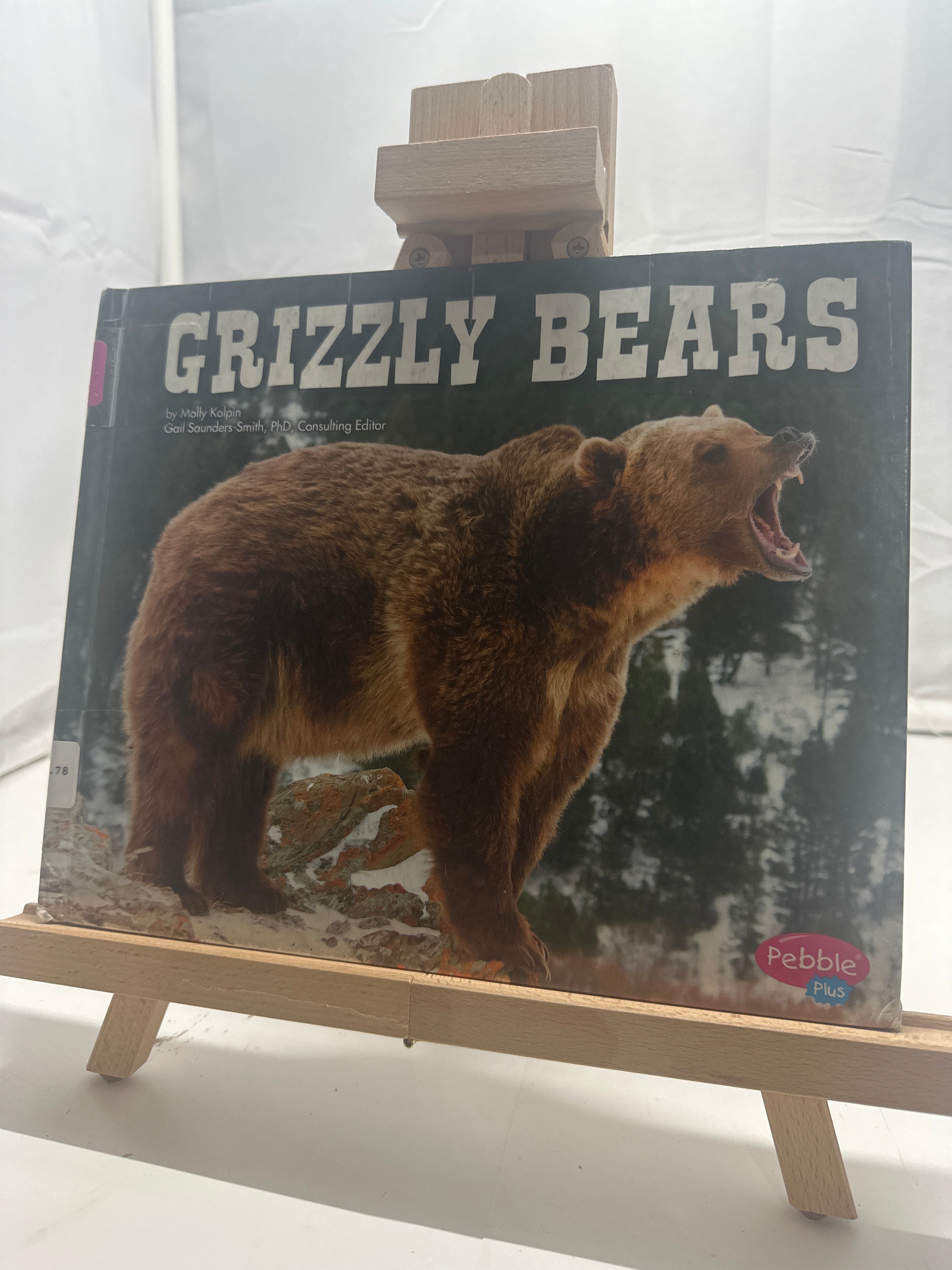 Grizzly Bears by Molly Kolpin Hardcover