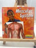 The Muscular System by Rebecca Olien Hardcover