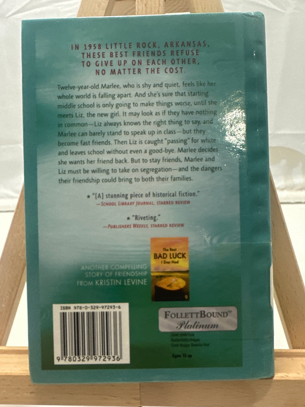 The Lions of Little Rock by Kristin Sims Levine Hardcover