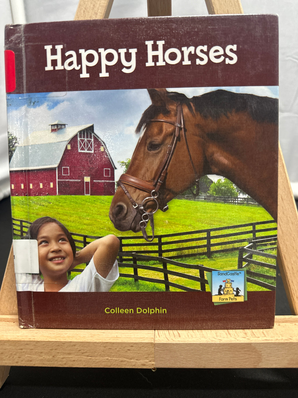 Happy horses by Colleen Dolphin Hardcover Children's Book