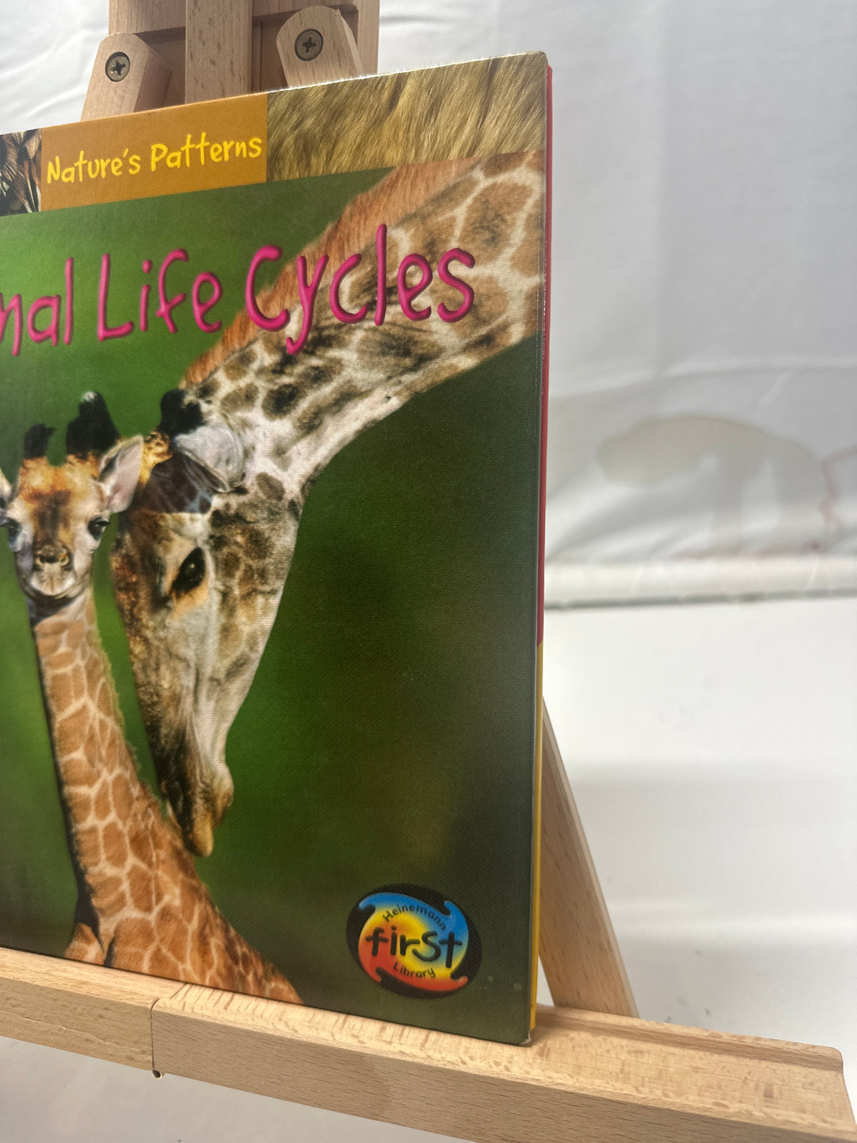 Animal Life Cycles by Anita Ganeri Hardcover