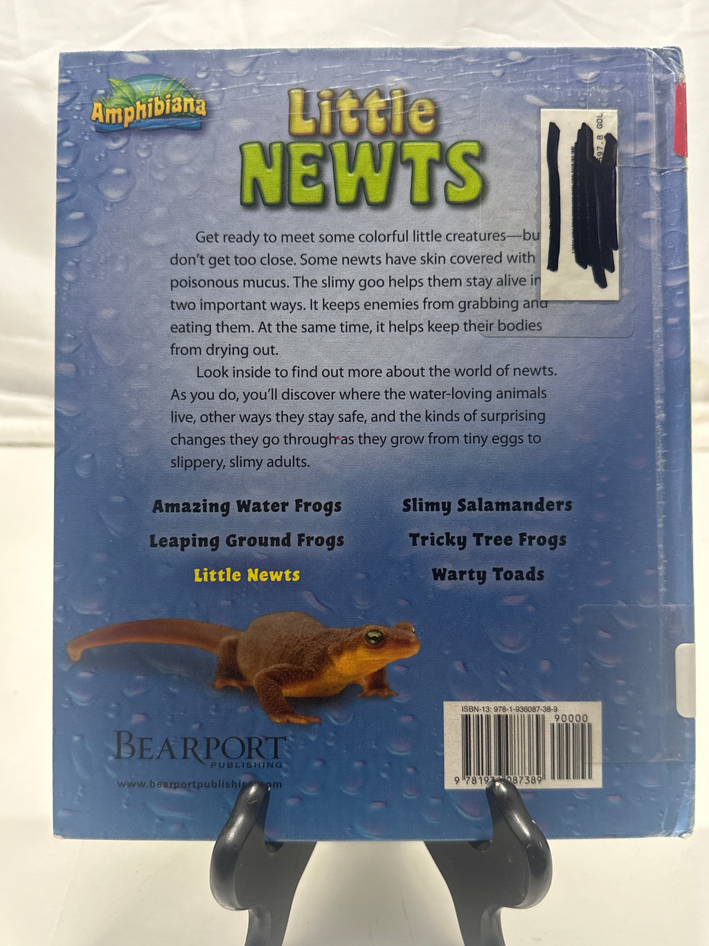 Little newts by Meish Goldish Hardcover Children's Book