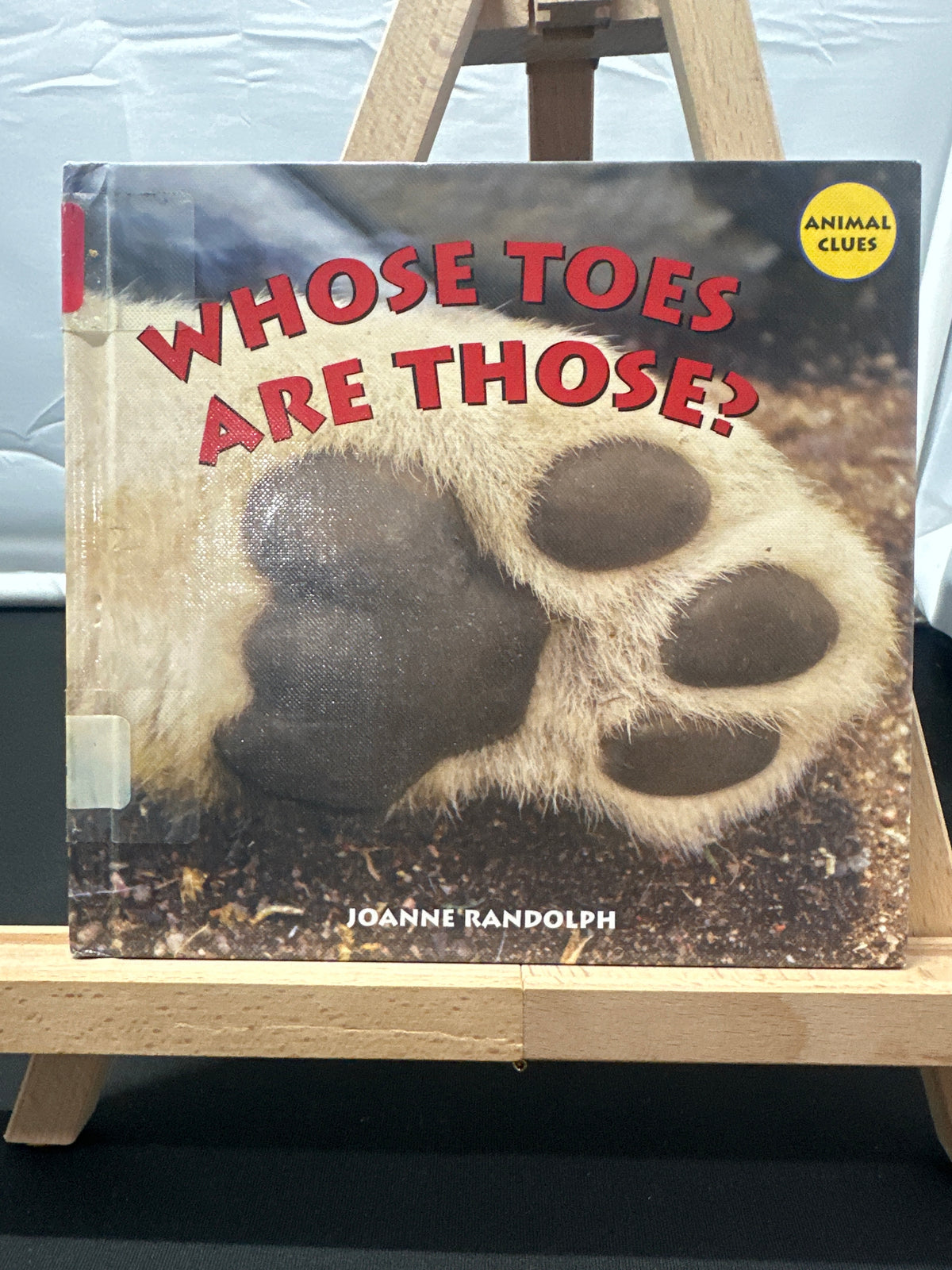 Whose toes are those? by Joanne Randolph Hardcover Children's Book