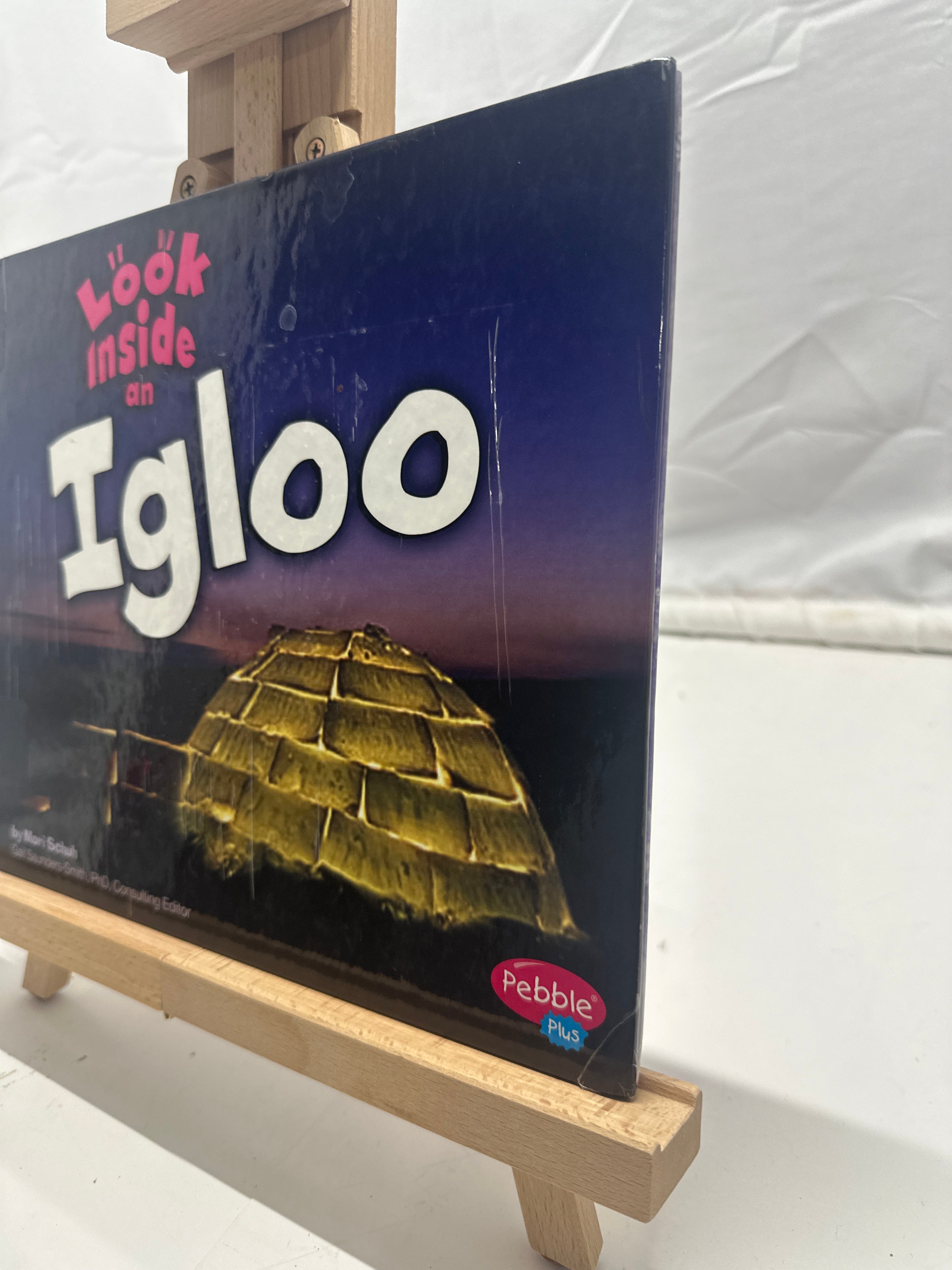 Look Inside an Igloo by Mari C. Schuh Hardcover