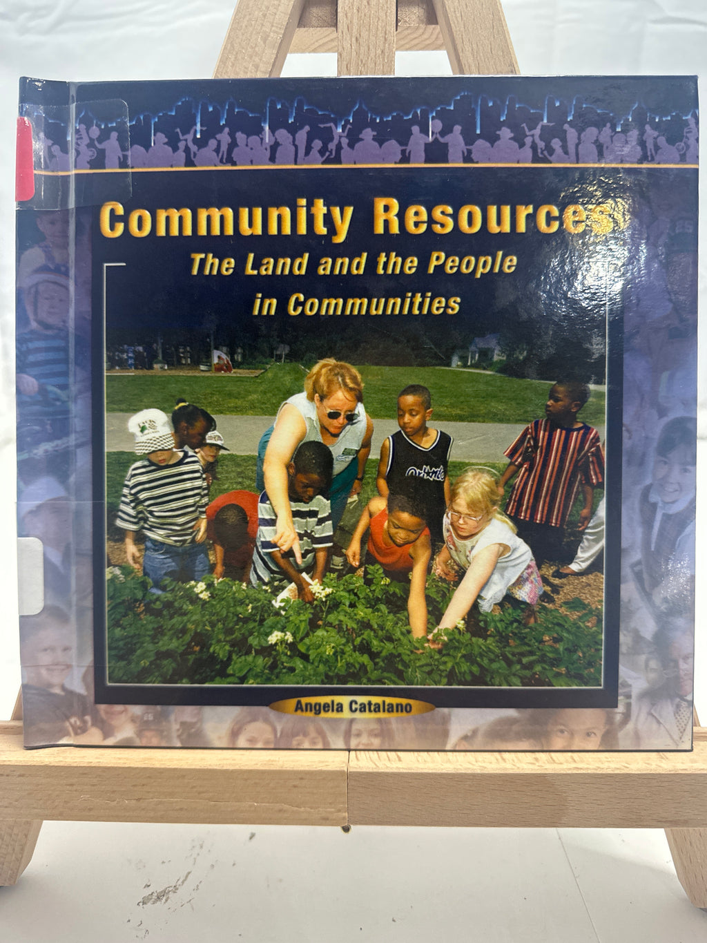 Community Resources by Angela Catalano Hardcover