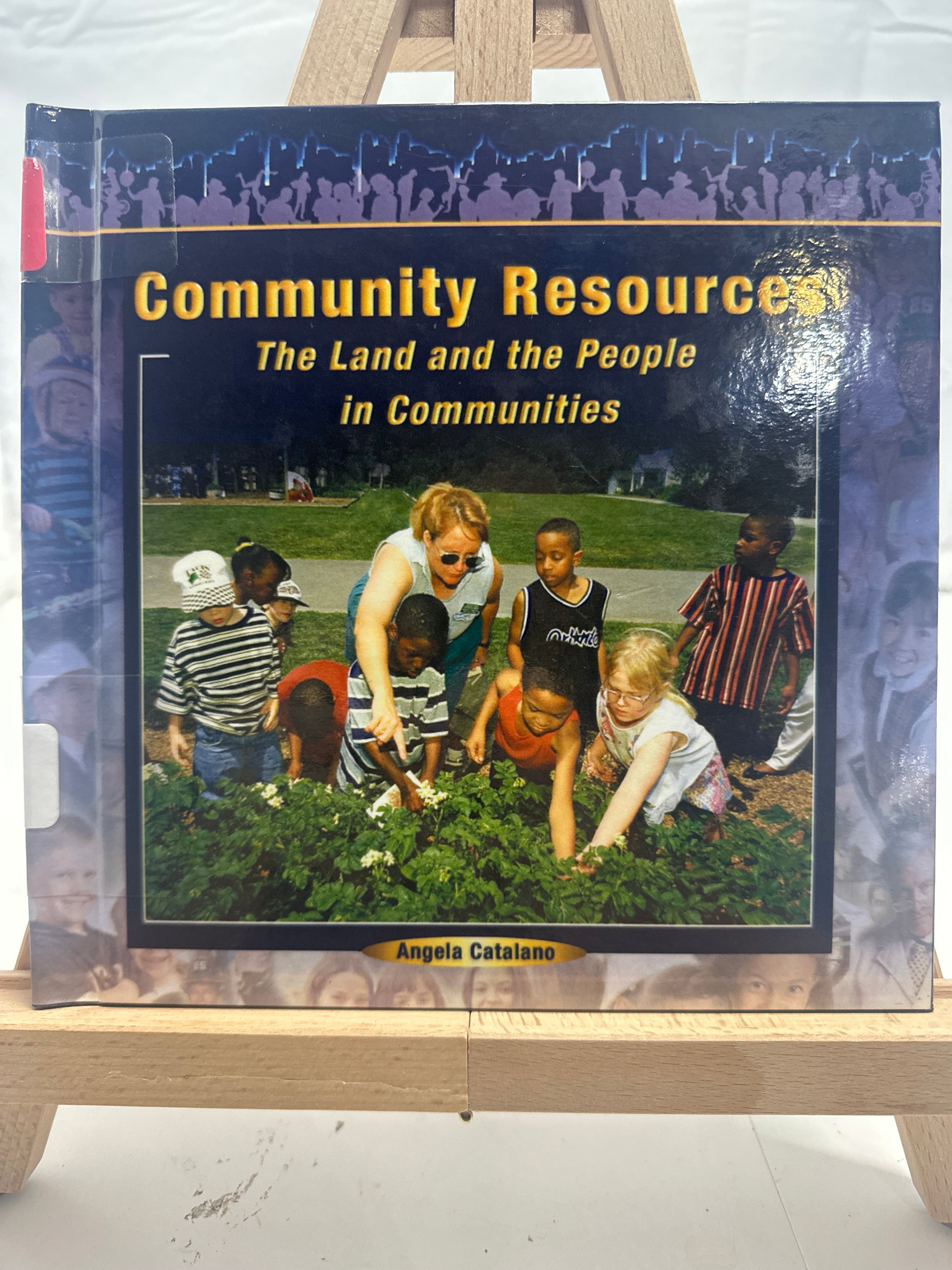 Community Resources by Angela Catalano Hardcover