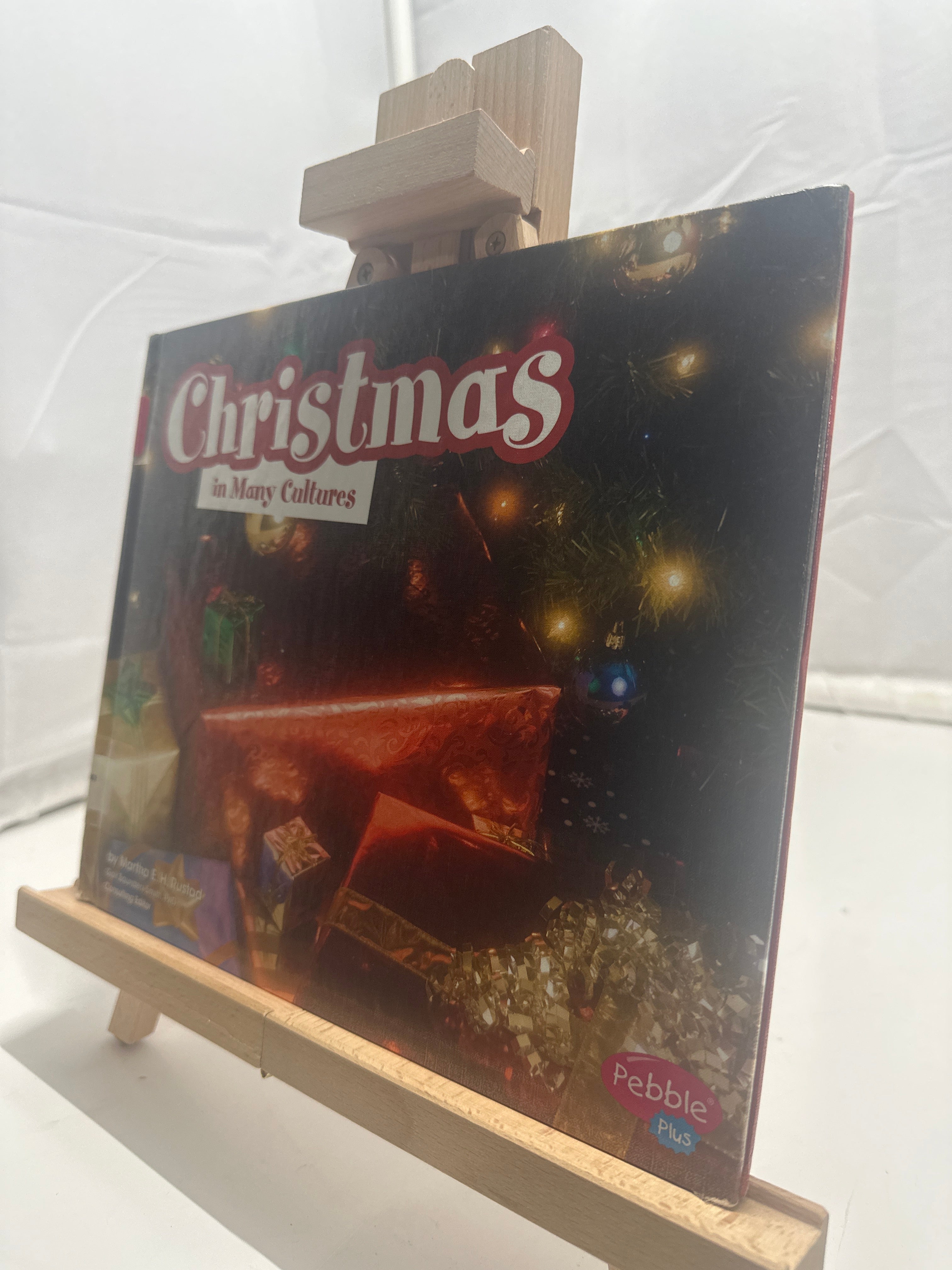 Christmas in Many Cultures by Martha E. H. Rustad Hardcover