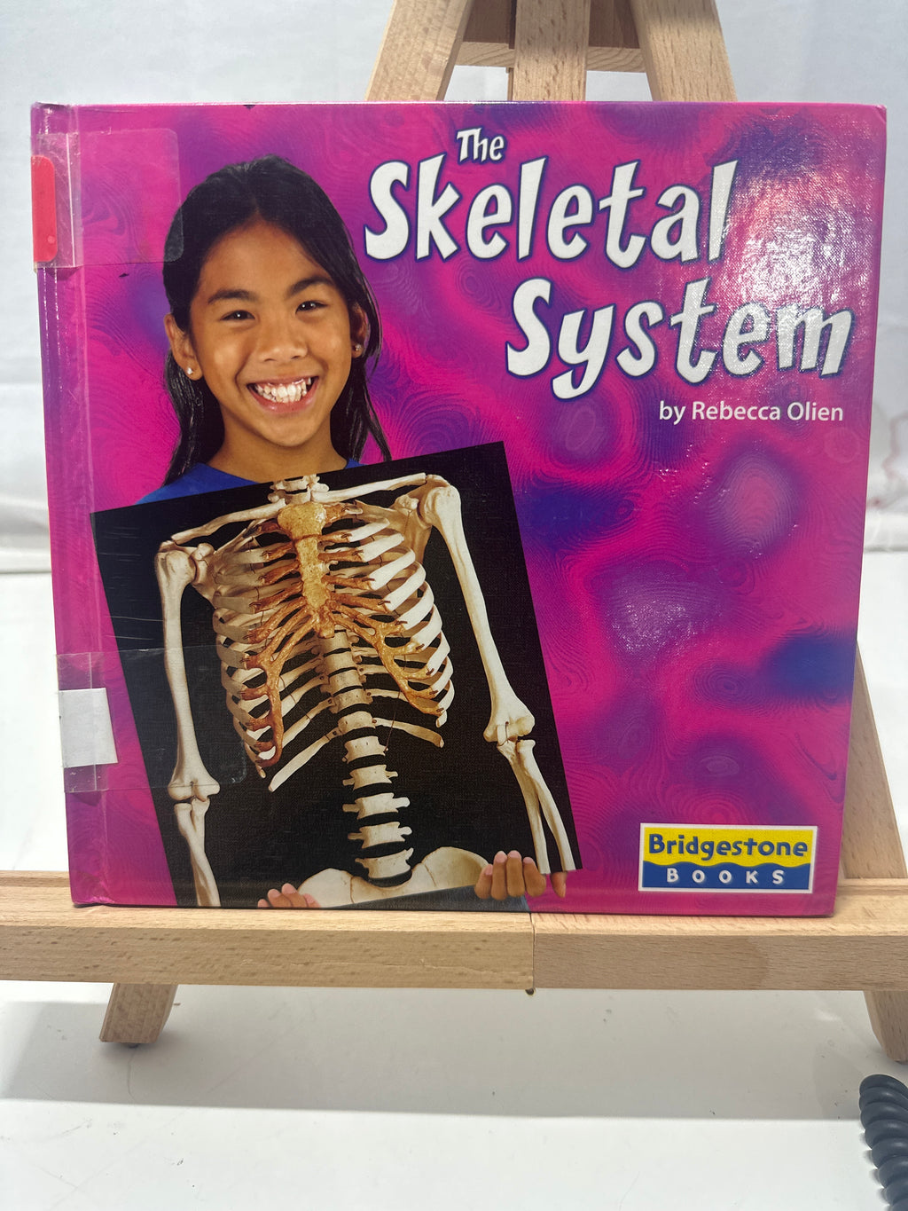The Skeletal System by Rebecca Olien Hardcover