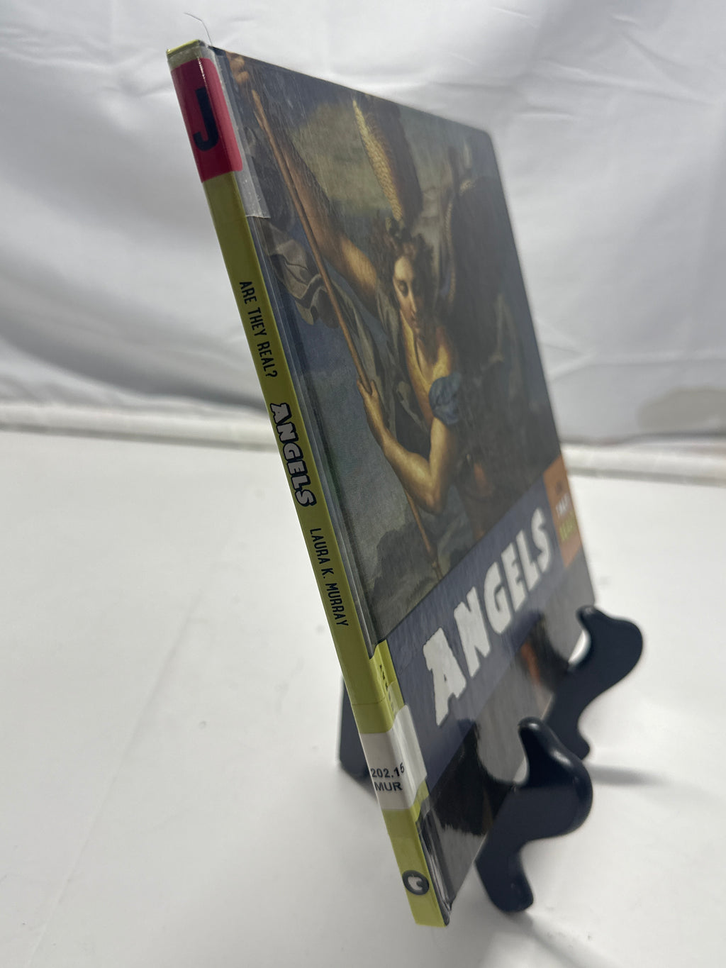 Angels by Laura K. Murray Hardcover