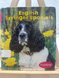 English Springer Spaniels by Jody Sullivan Rake Hardcover