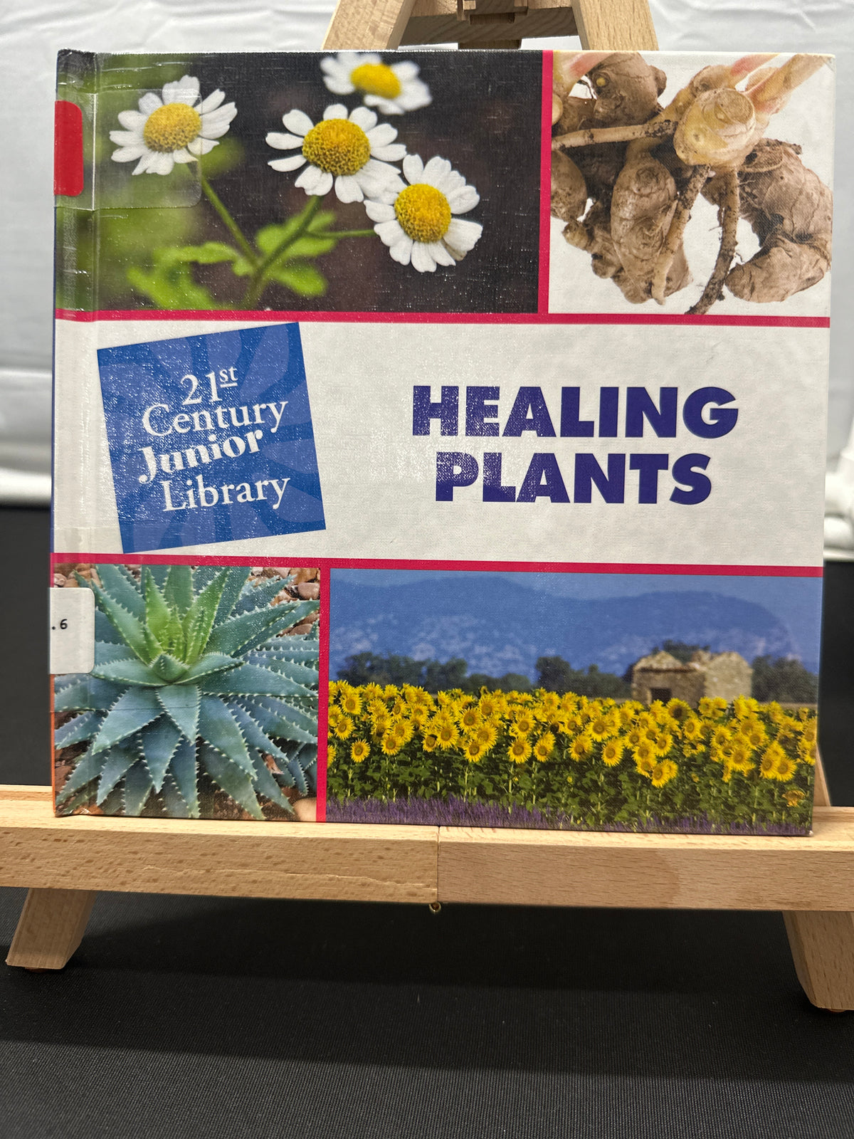 Healing plants by Pam Rosenberg Hardcover Children's Book