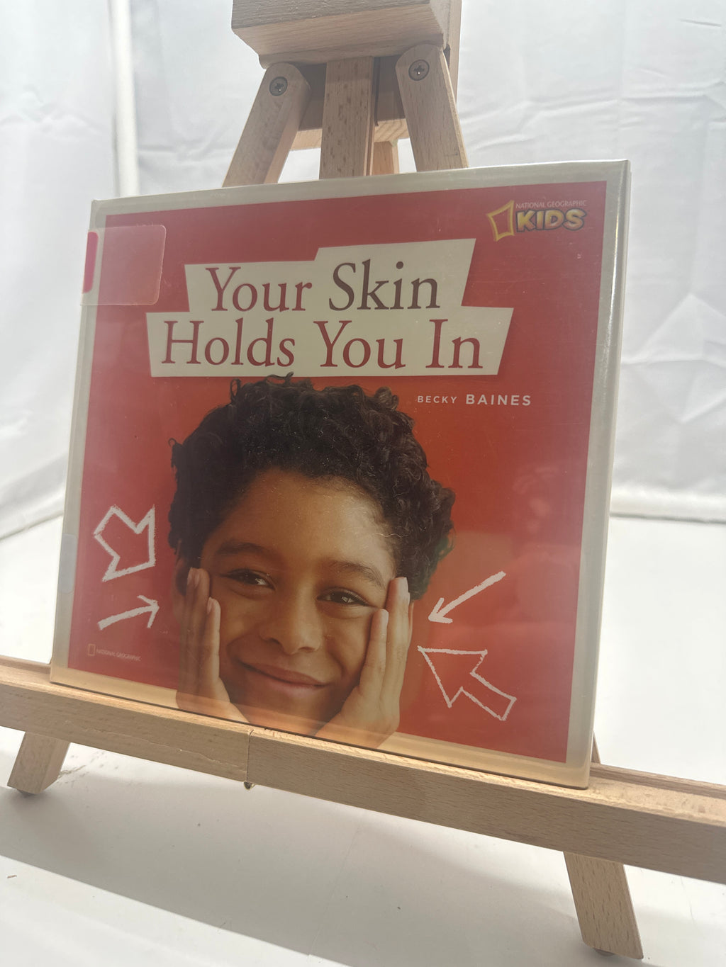 Your skin holds you in by Rebecca Baines Hardcover Children's Book