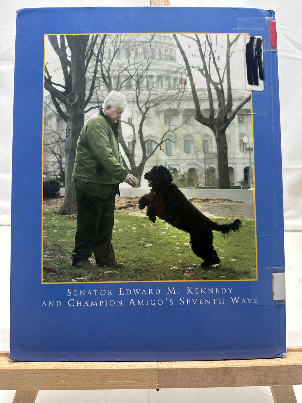 My Senator and Me by Edward Moore Kennedy Hardcover