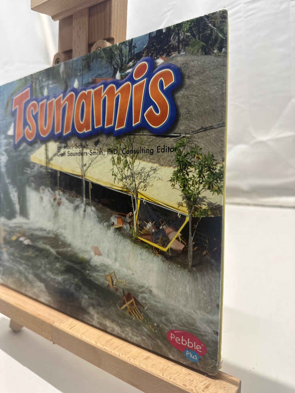 Tsunamis by Mari C. Schuh Hardcover