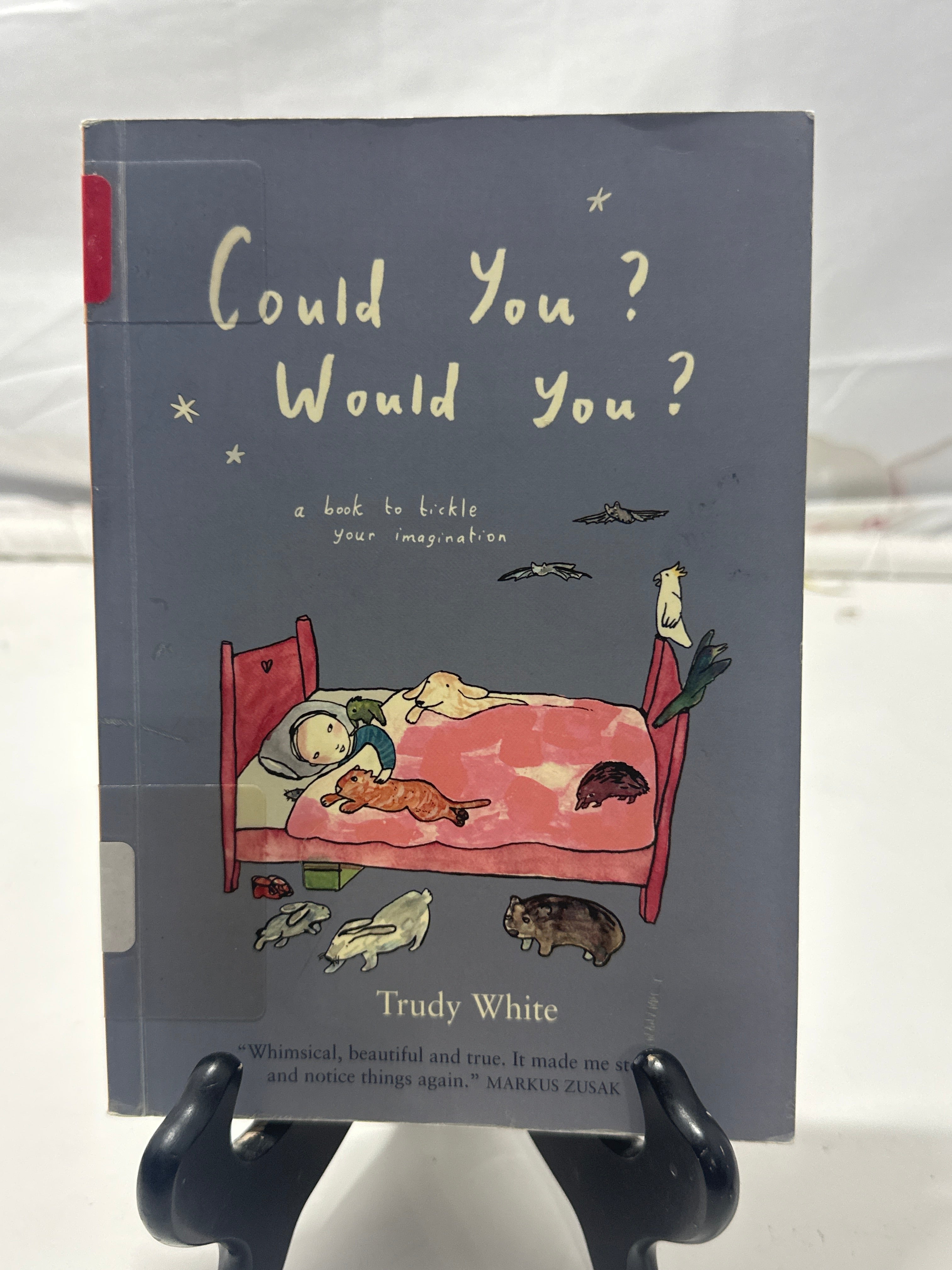 Could You? Would You? by Trudy White Hardcover