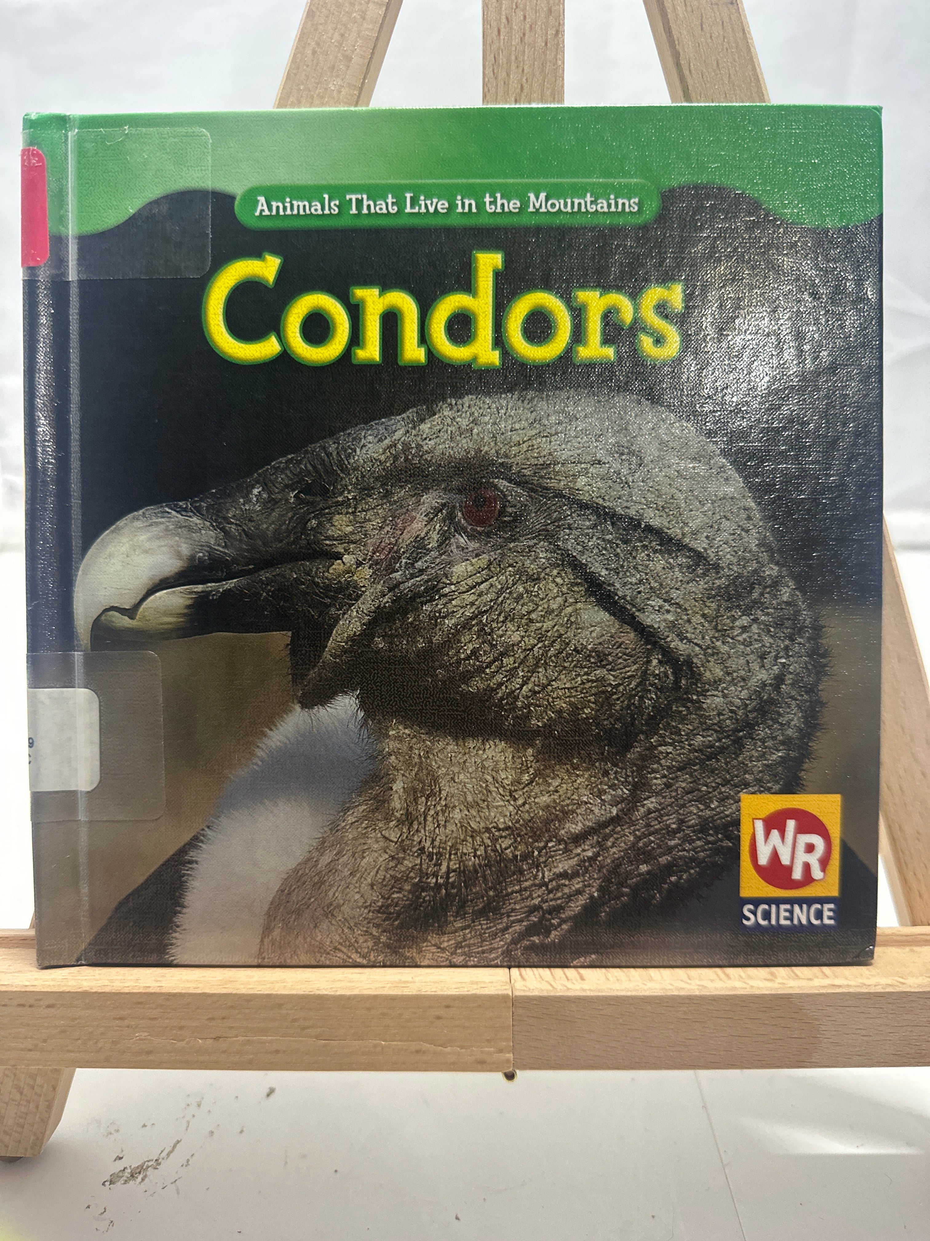 Condors by JoAnn Early Macken Hardcover Children's Book