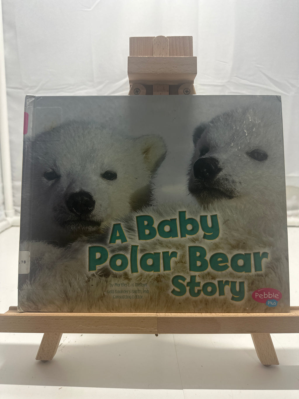 A baby polar bear story by Martha E. H. Rustad Hardcover