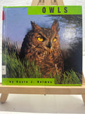 Owls by Kevin J. Holmes Hardcover