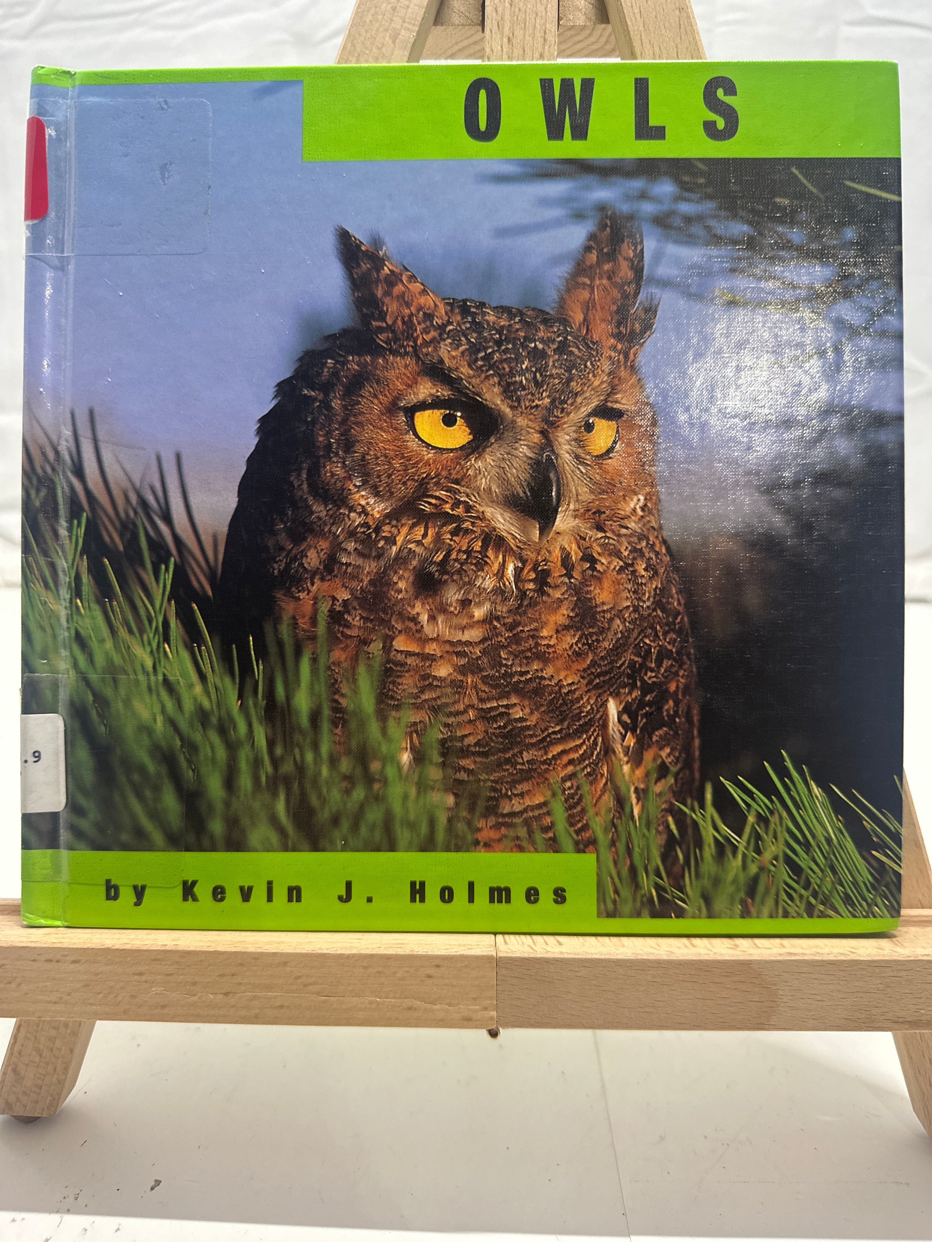 Owls by Kevin J. Holmes Hardcover