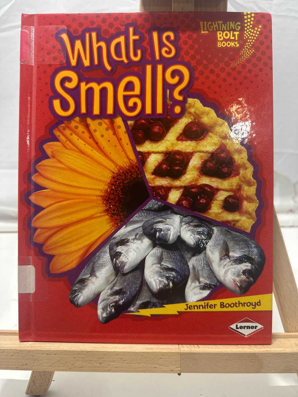 What is Smell? by Jennifer Boothroyd Hardcover Children's Book