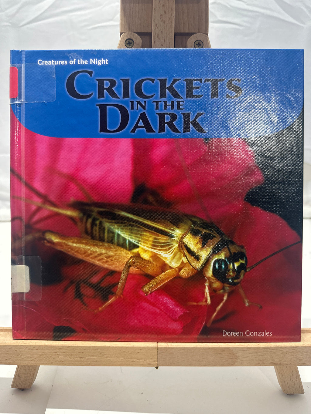 Crickets in the Dark by Doreen Gonzales Hardcover