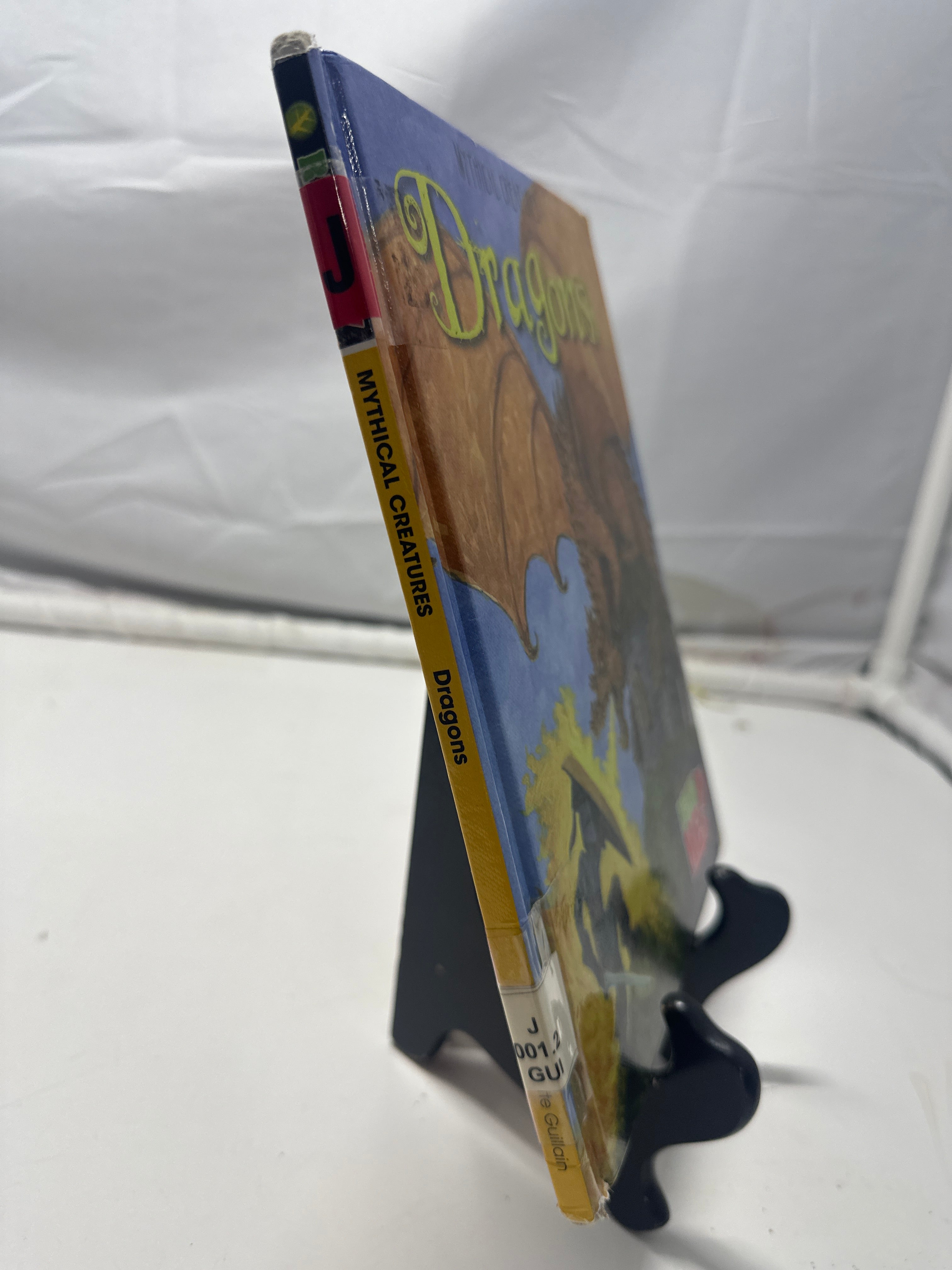 Dragons by Charlotte Guillain Hardcover Children's Book