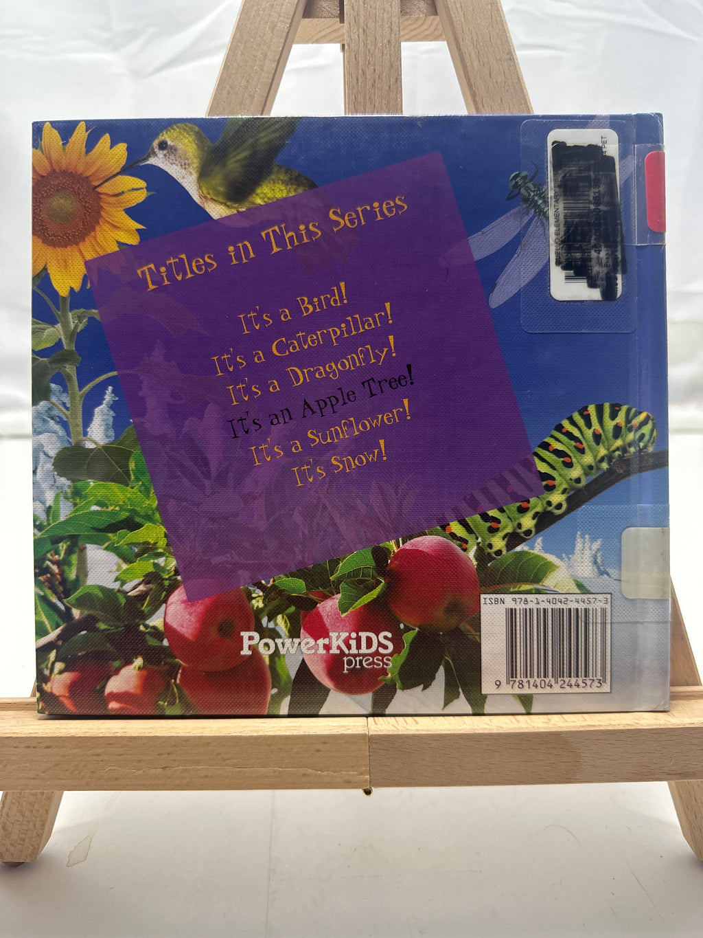 Its an Apple Tree! by Elisa Peters Hardcover
