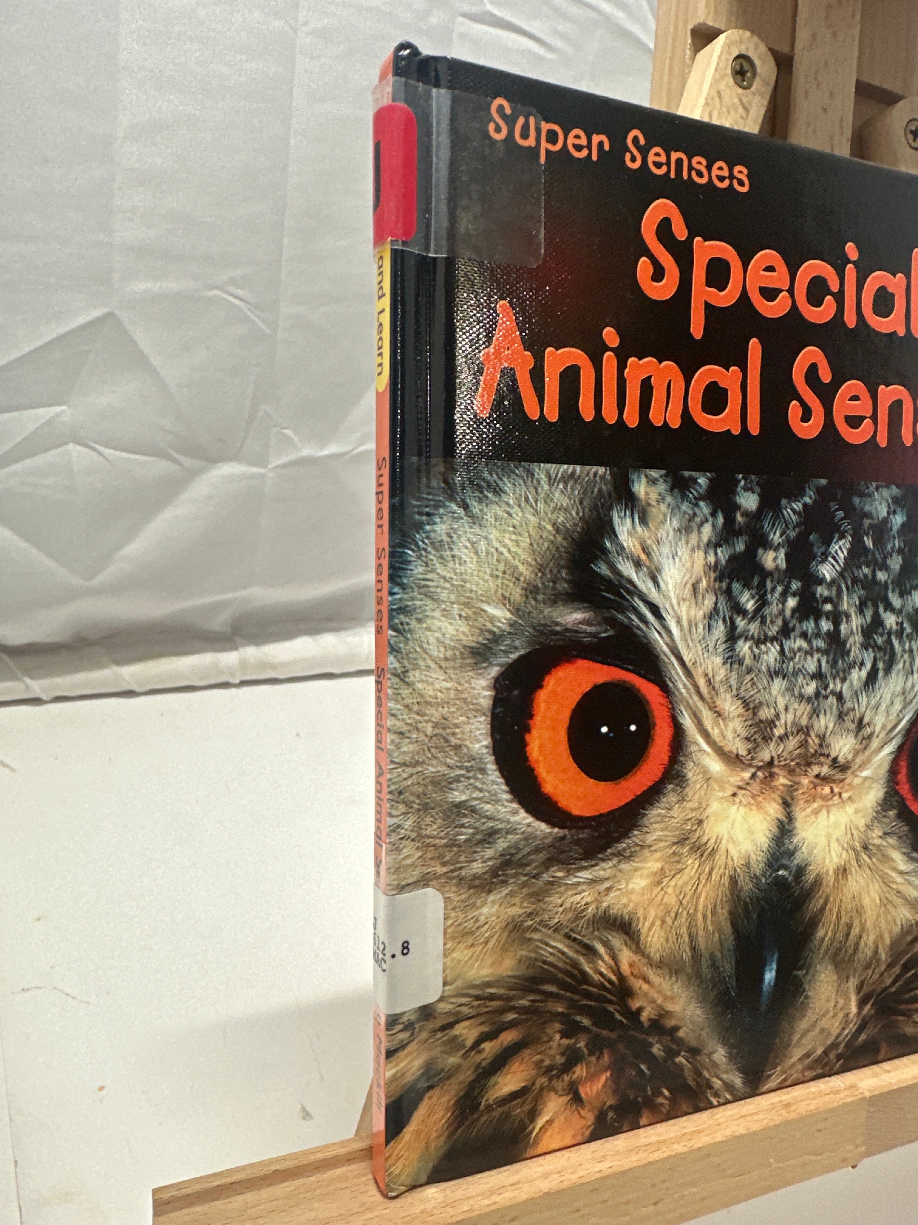 Special Animal Senses by Mary Mackill Hardcover