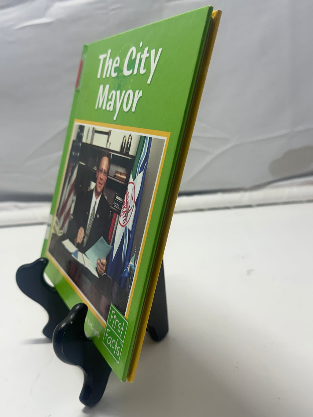 The City Mayor (First Facts) by Terri Degezelle Hardcover