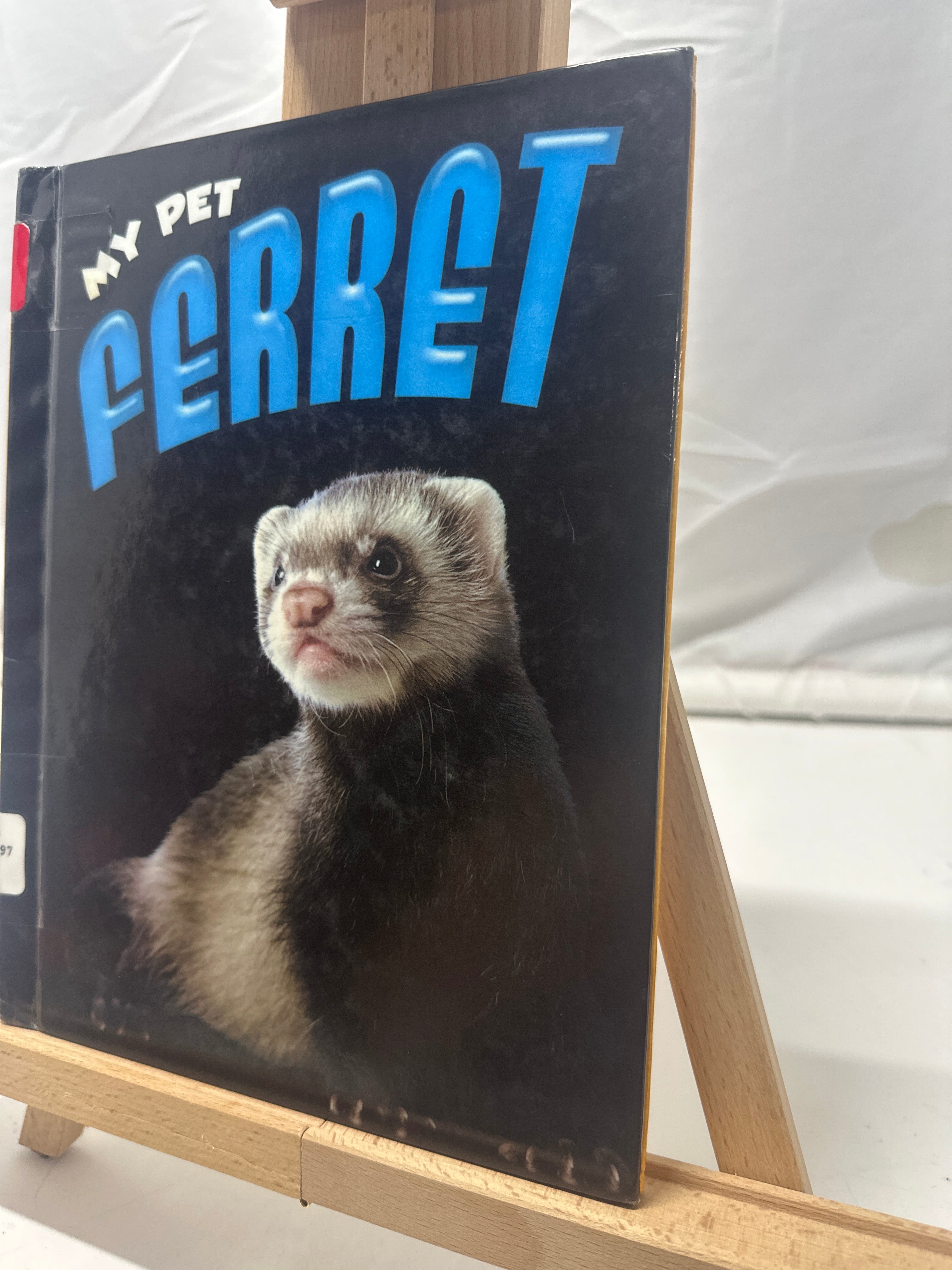 Ferret by Lynn Hamilton Hardcover
