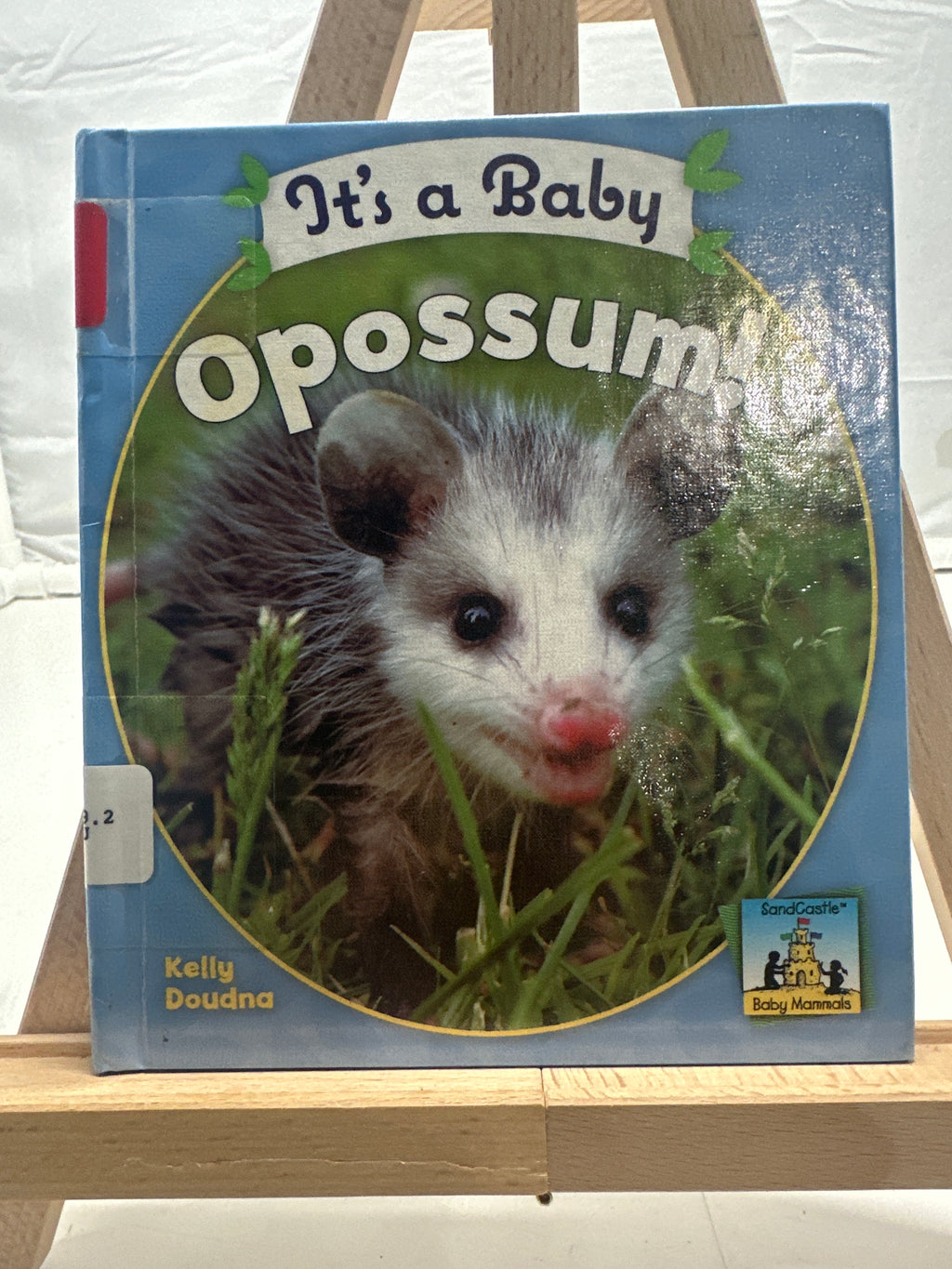 It's a Baby Opossum! (Baby Mammals) by Kelly Doudna Hardcover