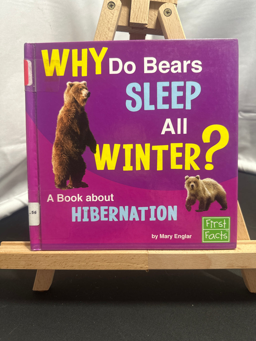Why Do Bears Sleep All Winter? by Mary Englar Hardcover