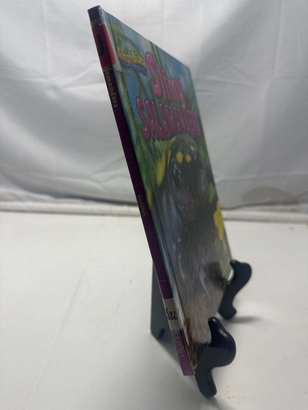 Slimy salamanders by Meish Goldish Hardcover Children's Book