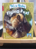 It's a baby flying fox! by Katherine Hengel Hardcover Children's Book