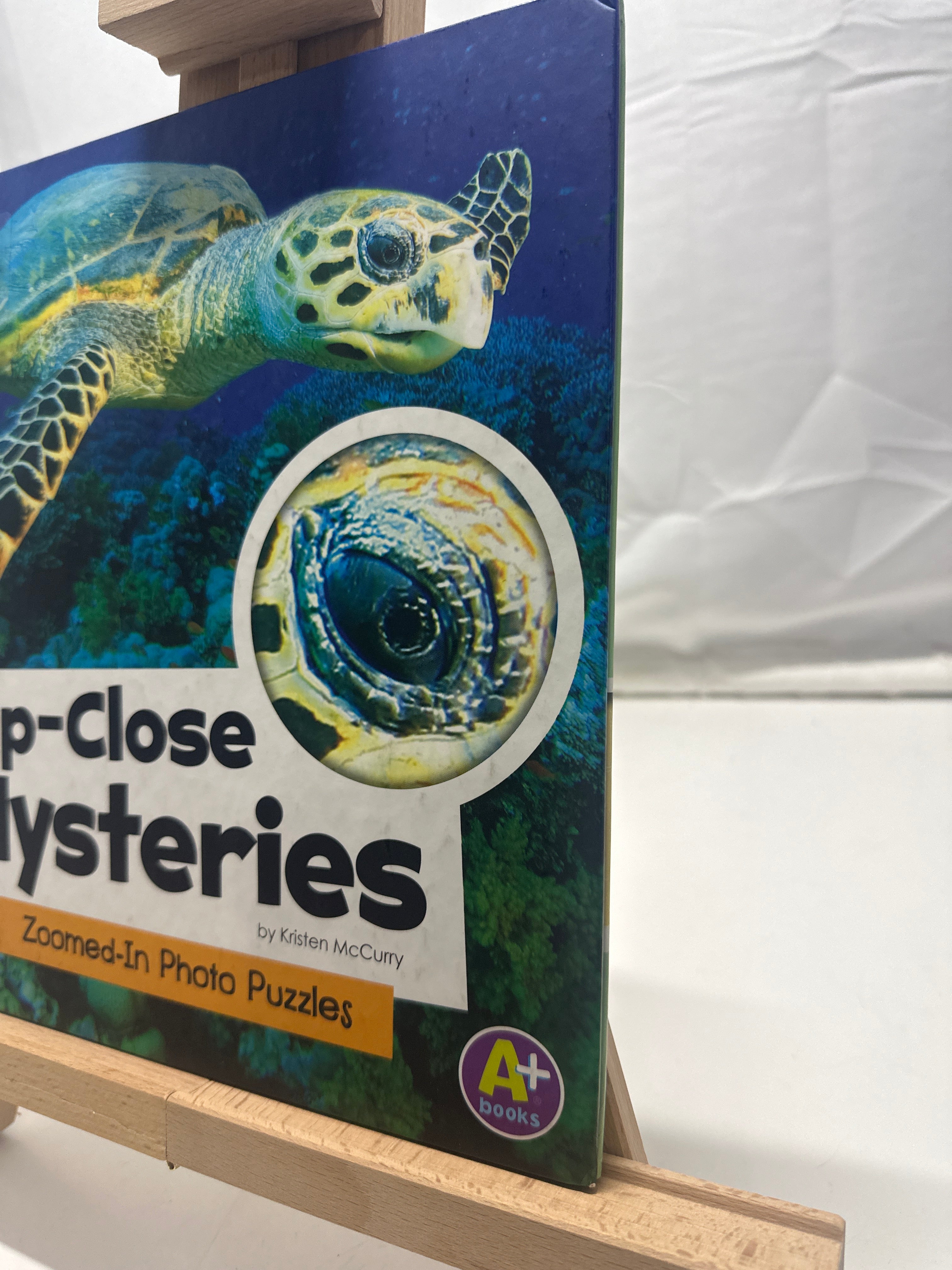 Up-Close Mysteries by Kristen McCurry Hardcover