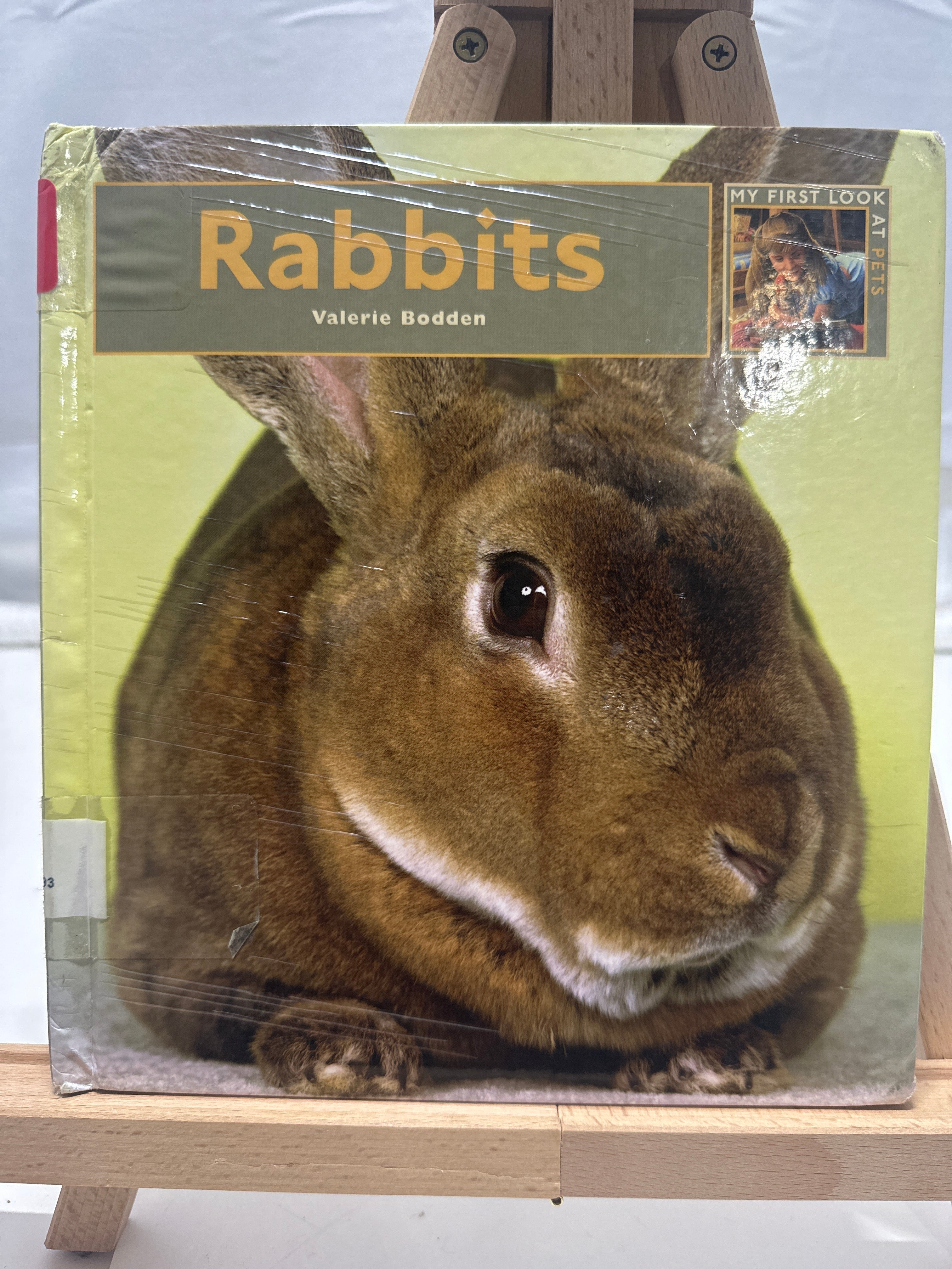 Rabbits by Valerie Bodden Hardcover Children's Book